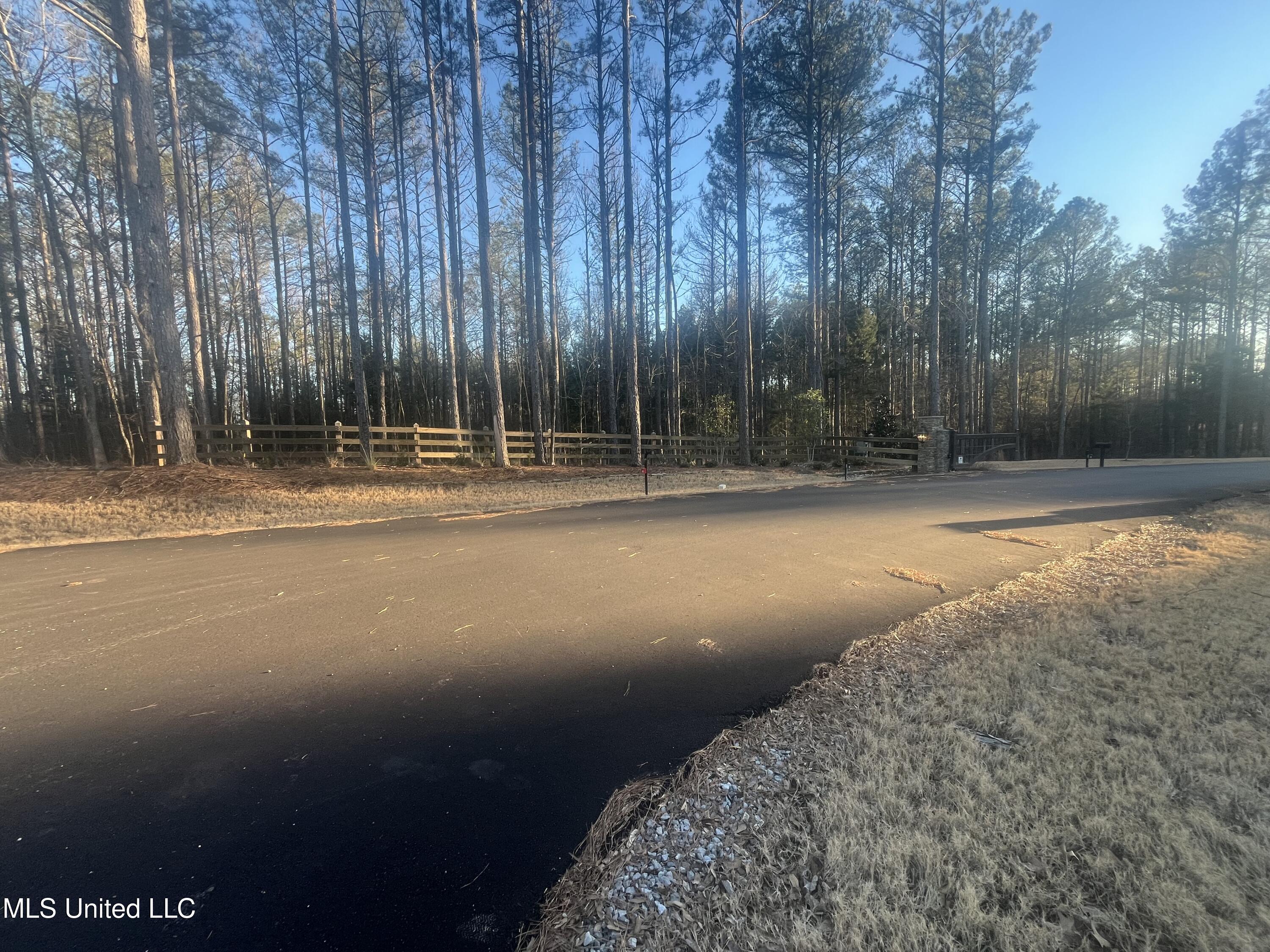 Springwood Trail Property Photo 7
