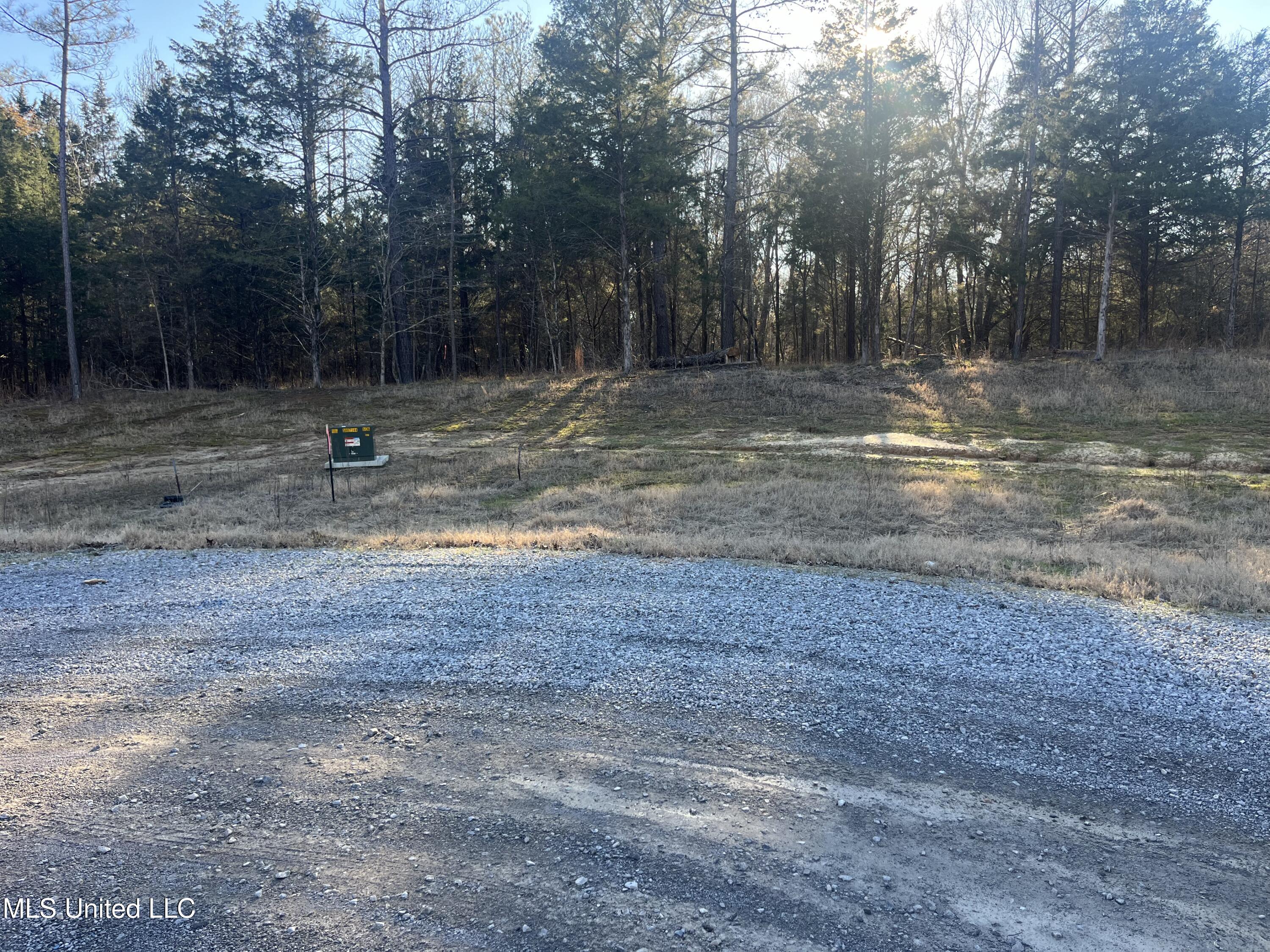 Springwood Trail Property Photo 9