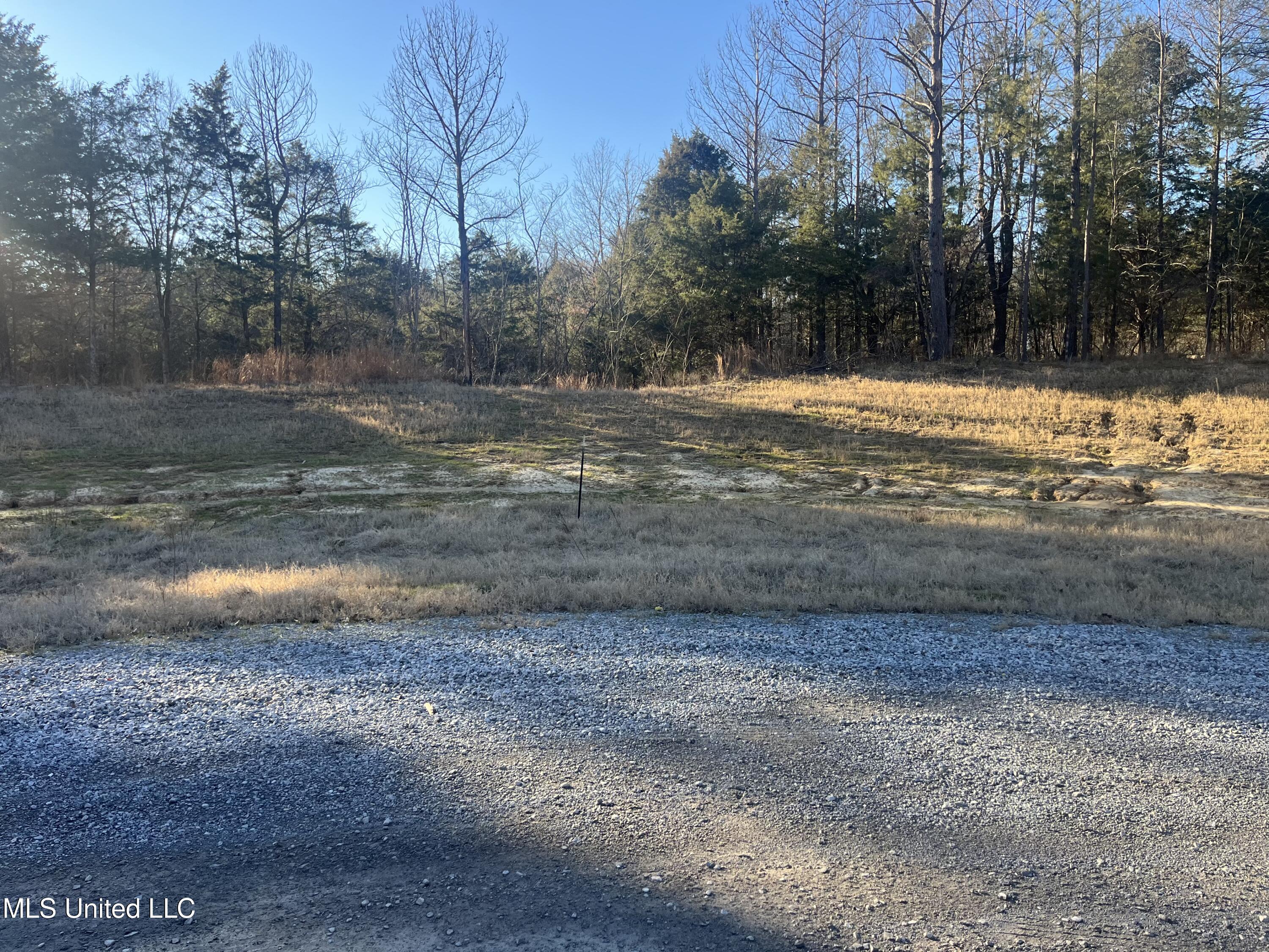 Springwood Trail Property Photo 10