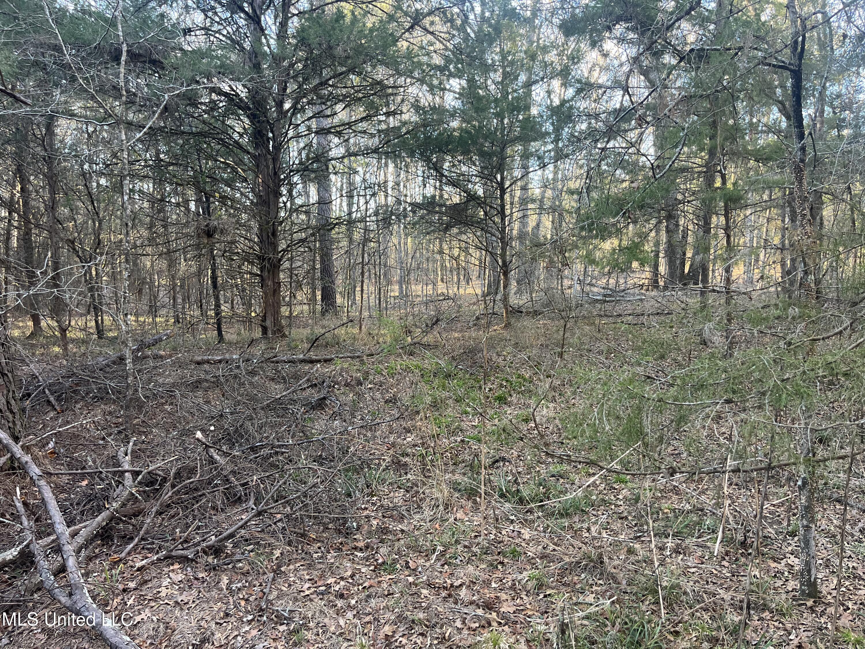 Springwood Trail Property Photo 18