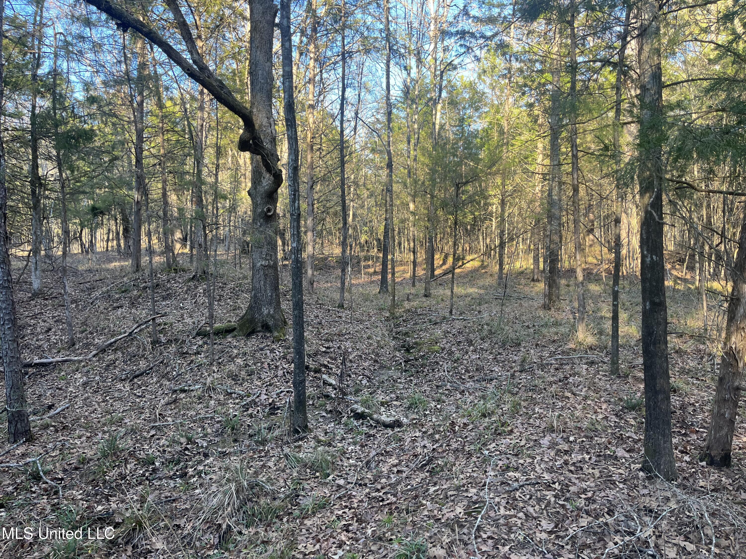 Springwood Trail Property Photo 19