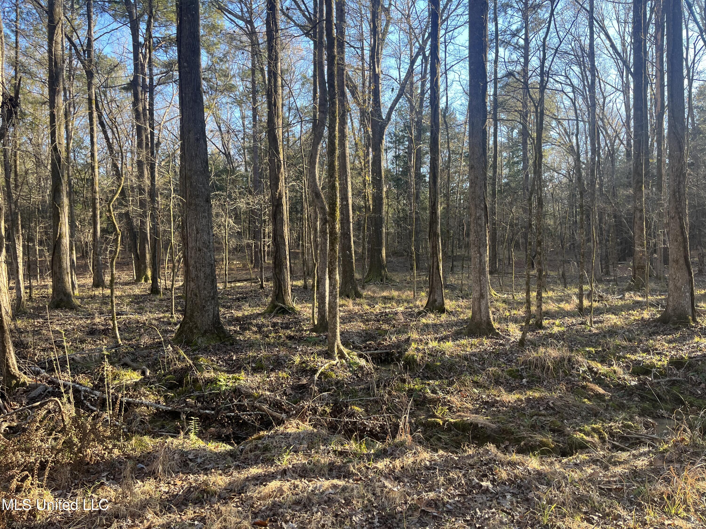 Springwood Trail Property Photo 21