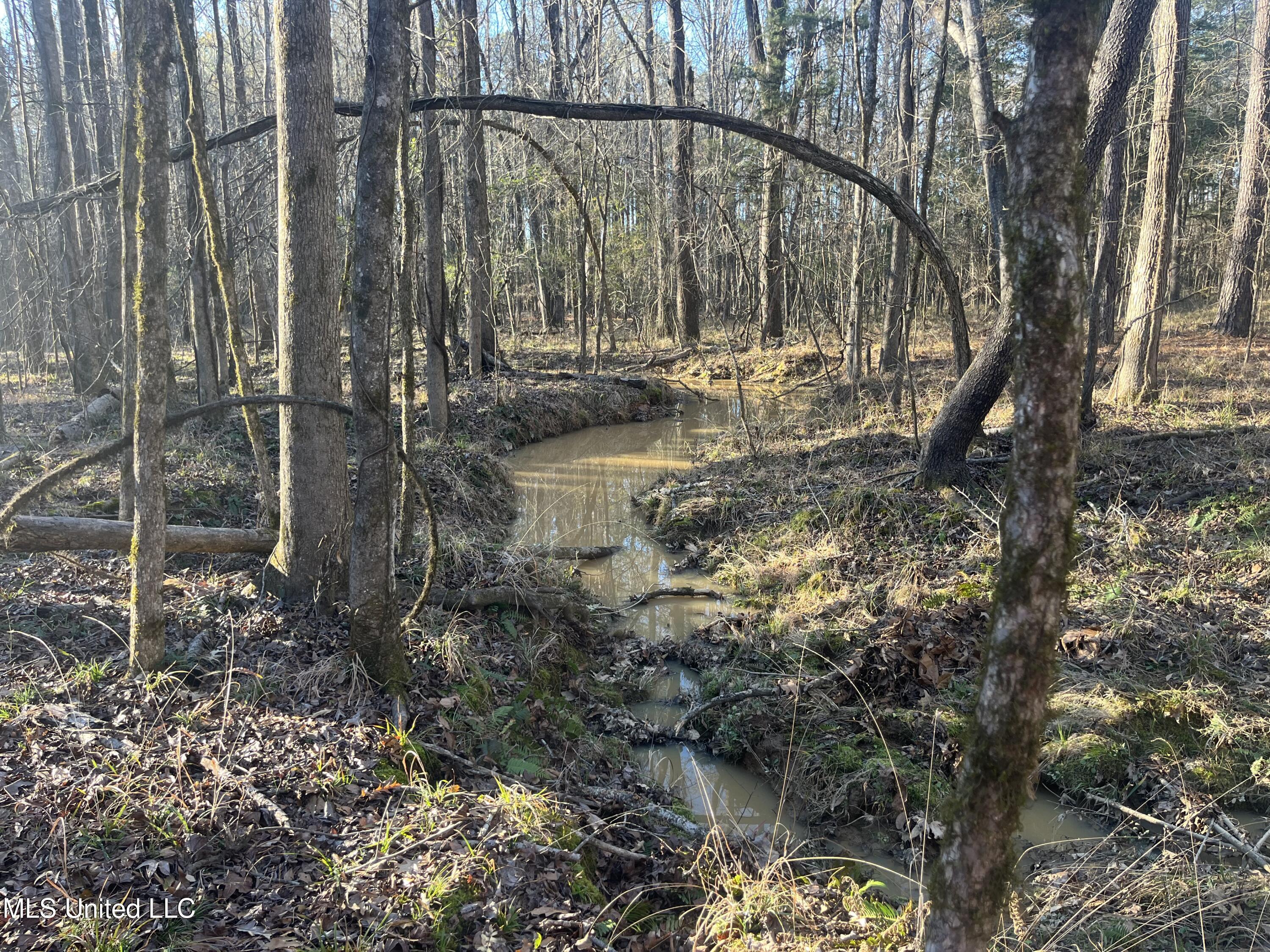 Springwood Trail Property Photo 22