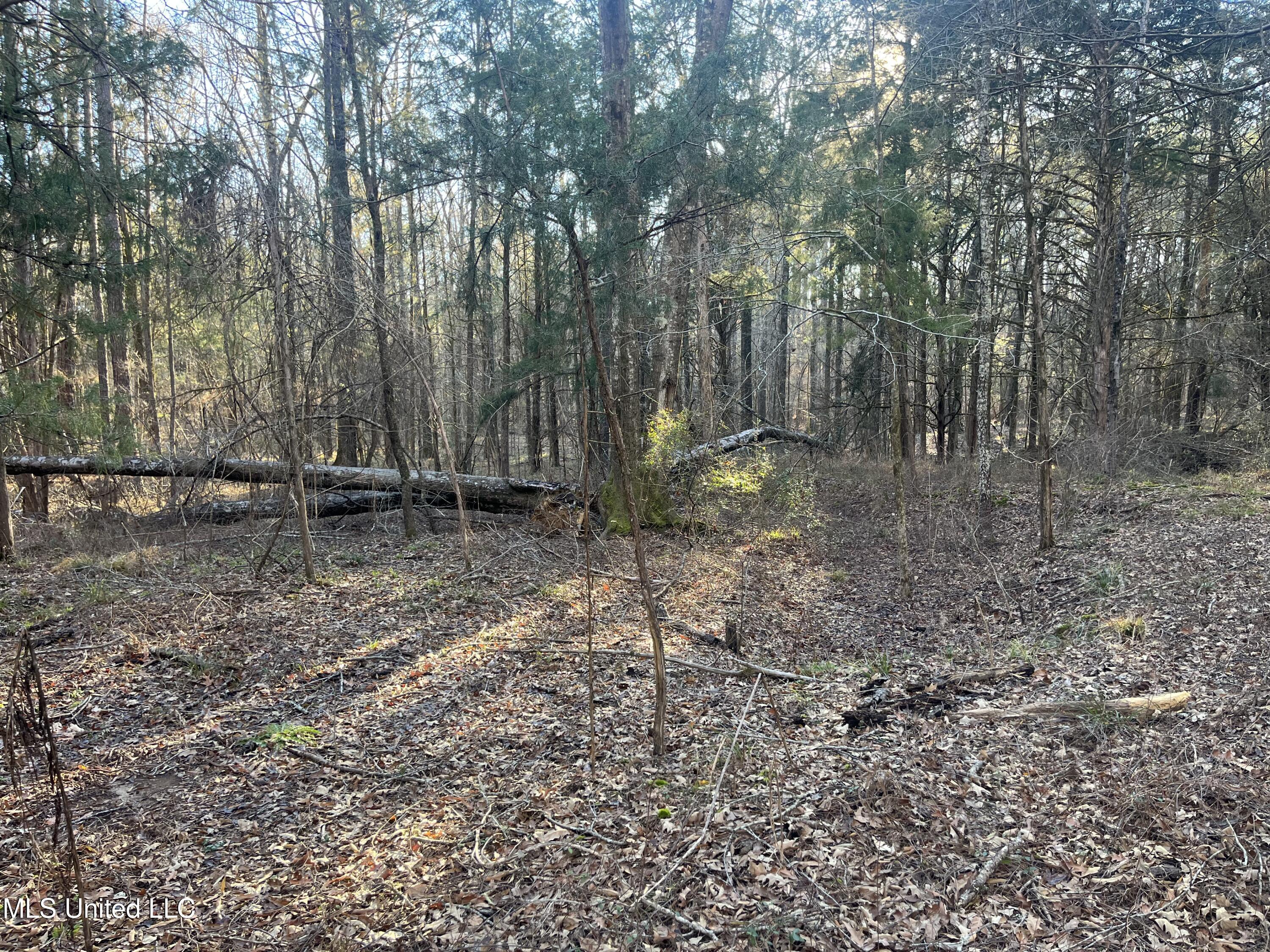 Springwood Trail Property Photo 23