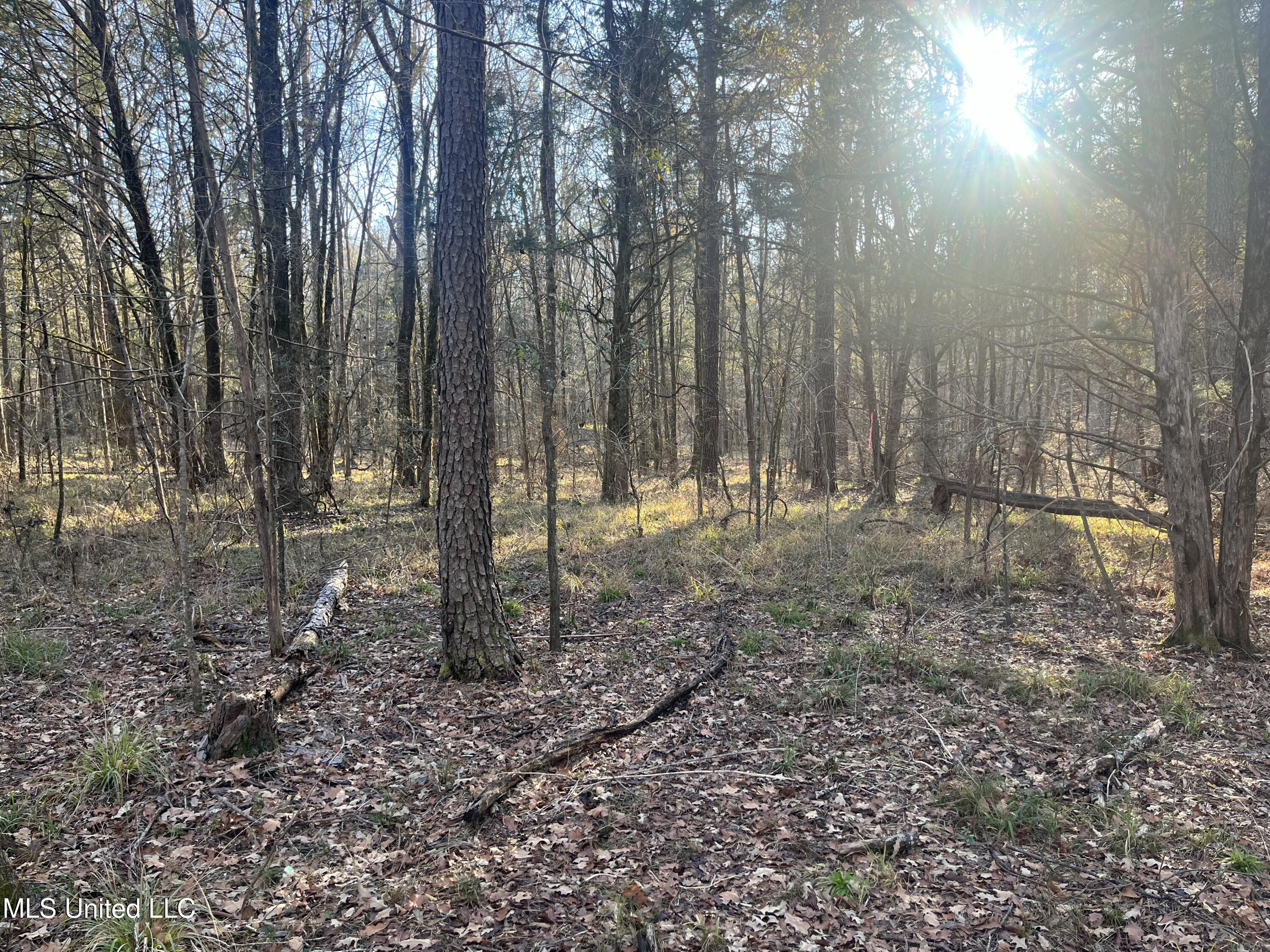 Springwood Trail Property Photo 26