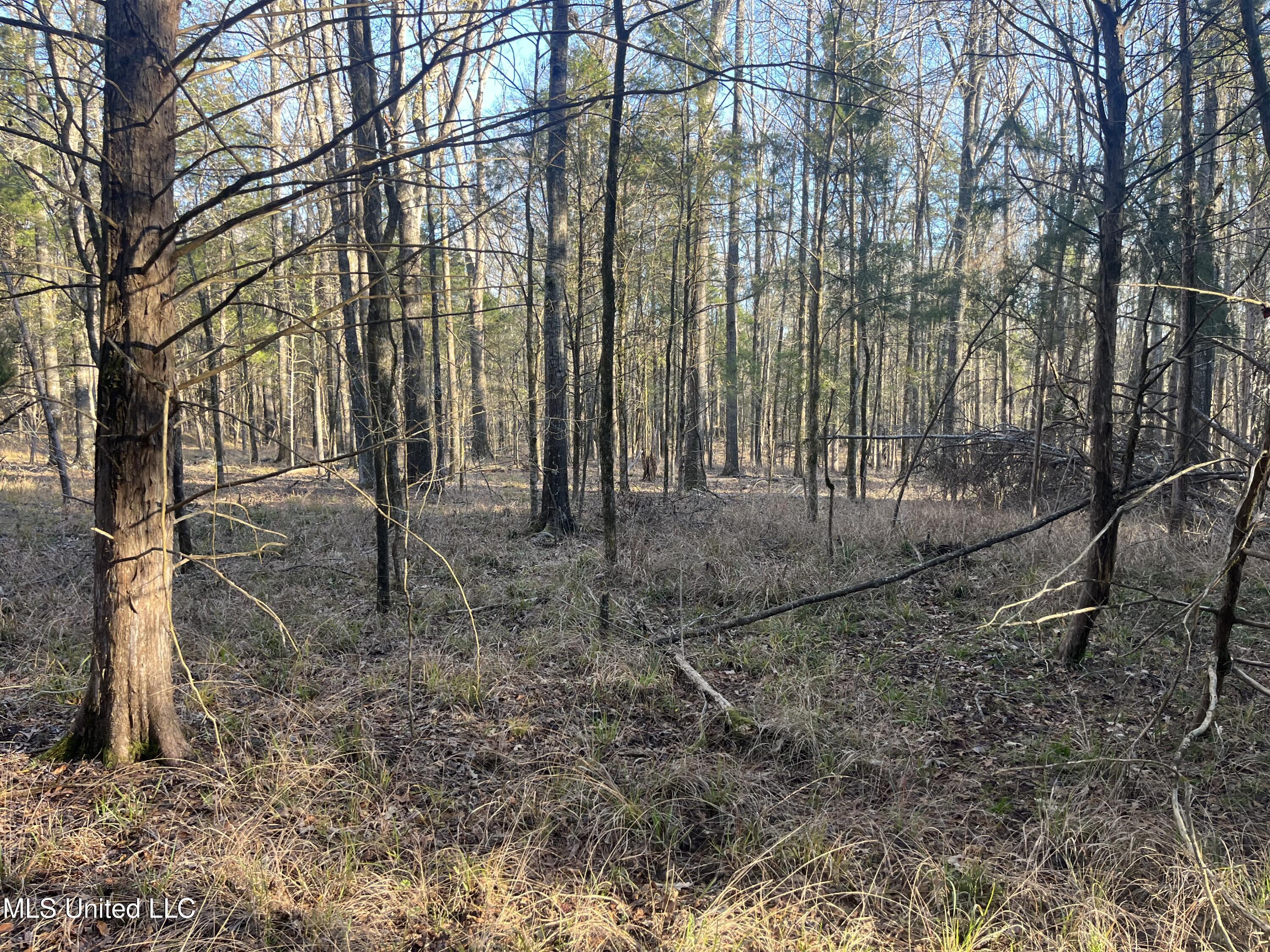 Springwood Trail Property Photo 28