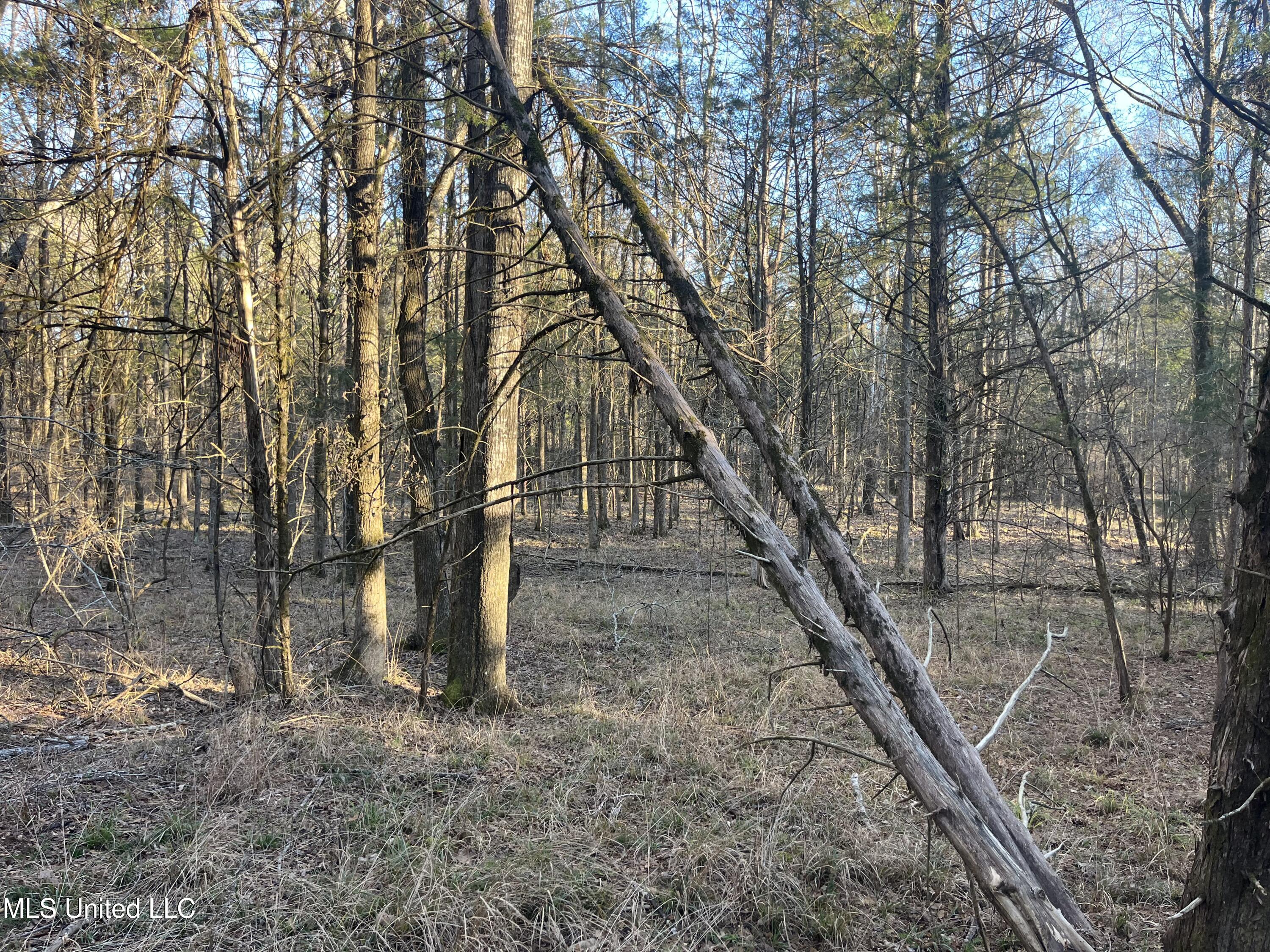 Springwood Trail Property Photo 32