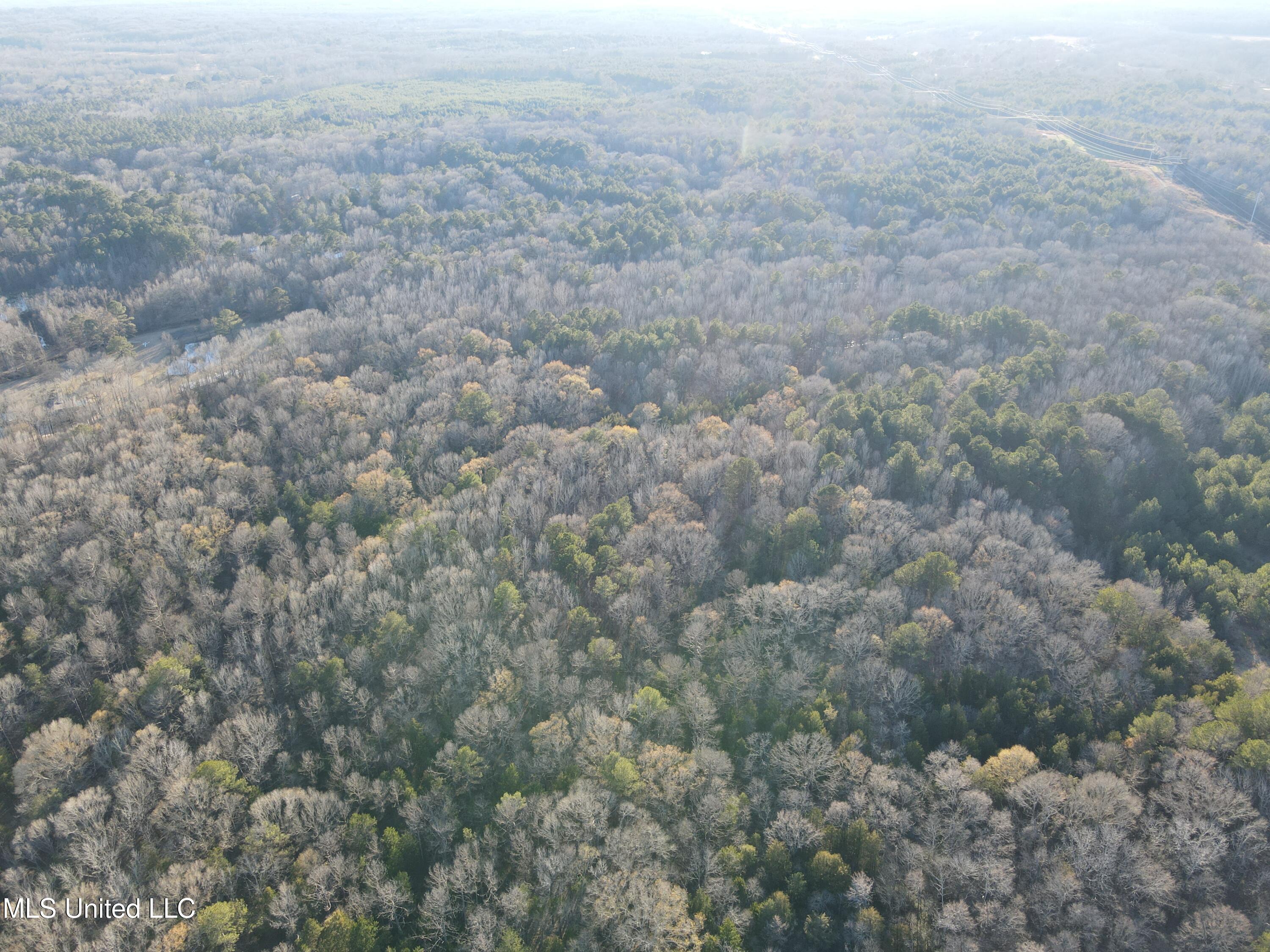 Springwood Trail Property Photo 39