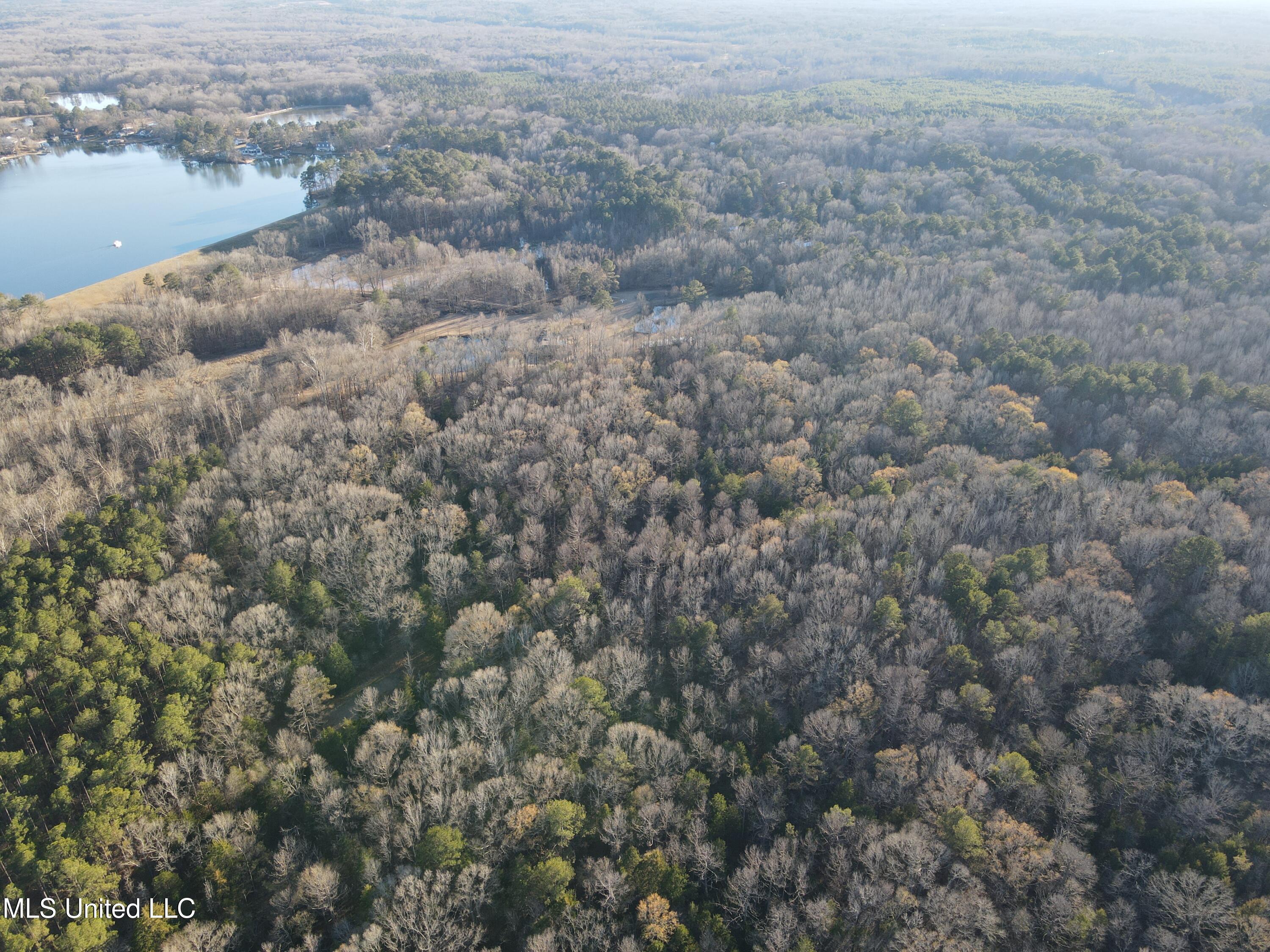 Springwood Trail Property Photo 40