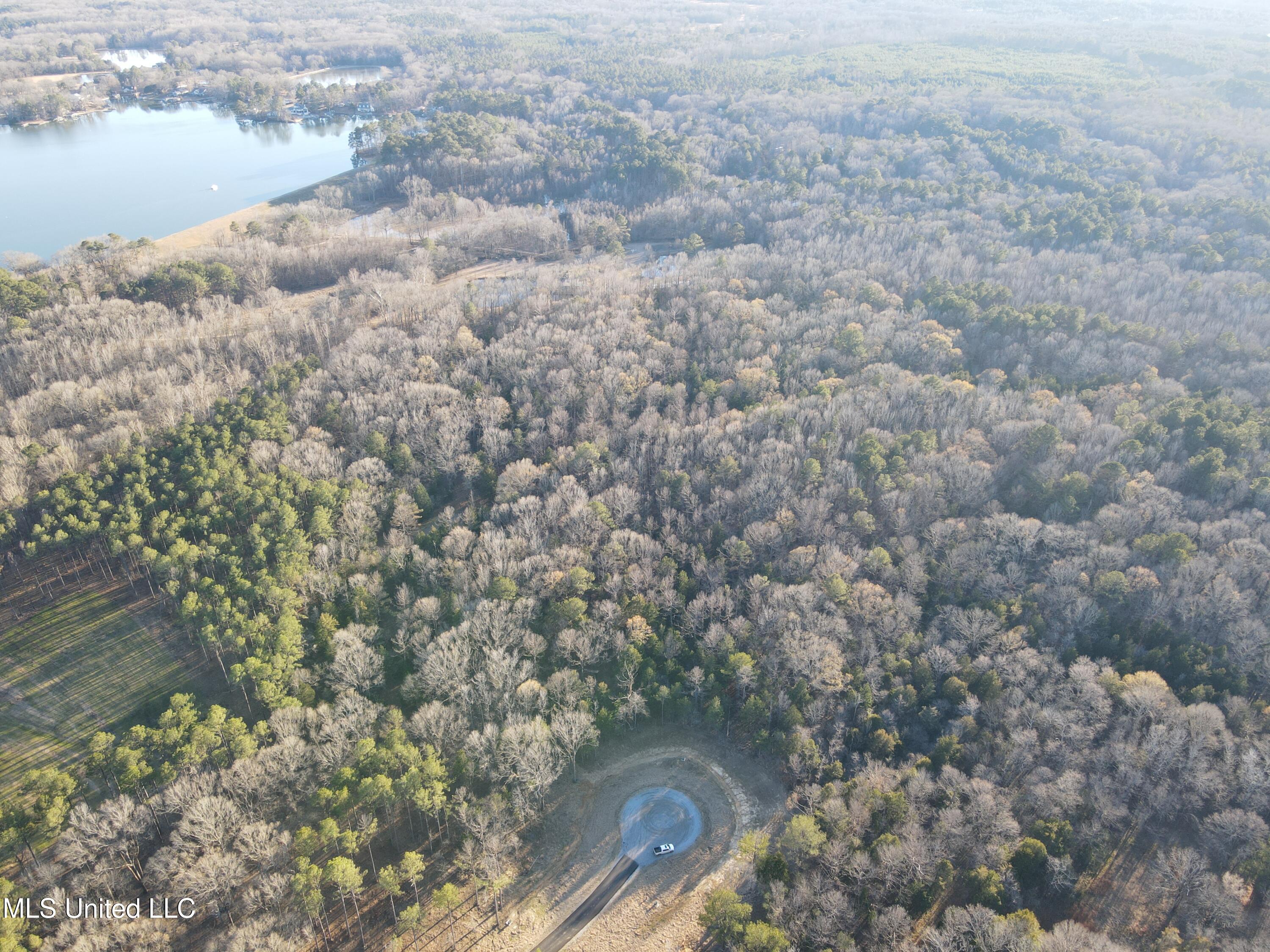 Springwood Trail Property Photo 41