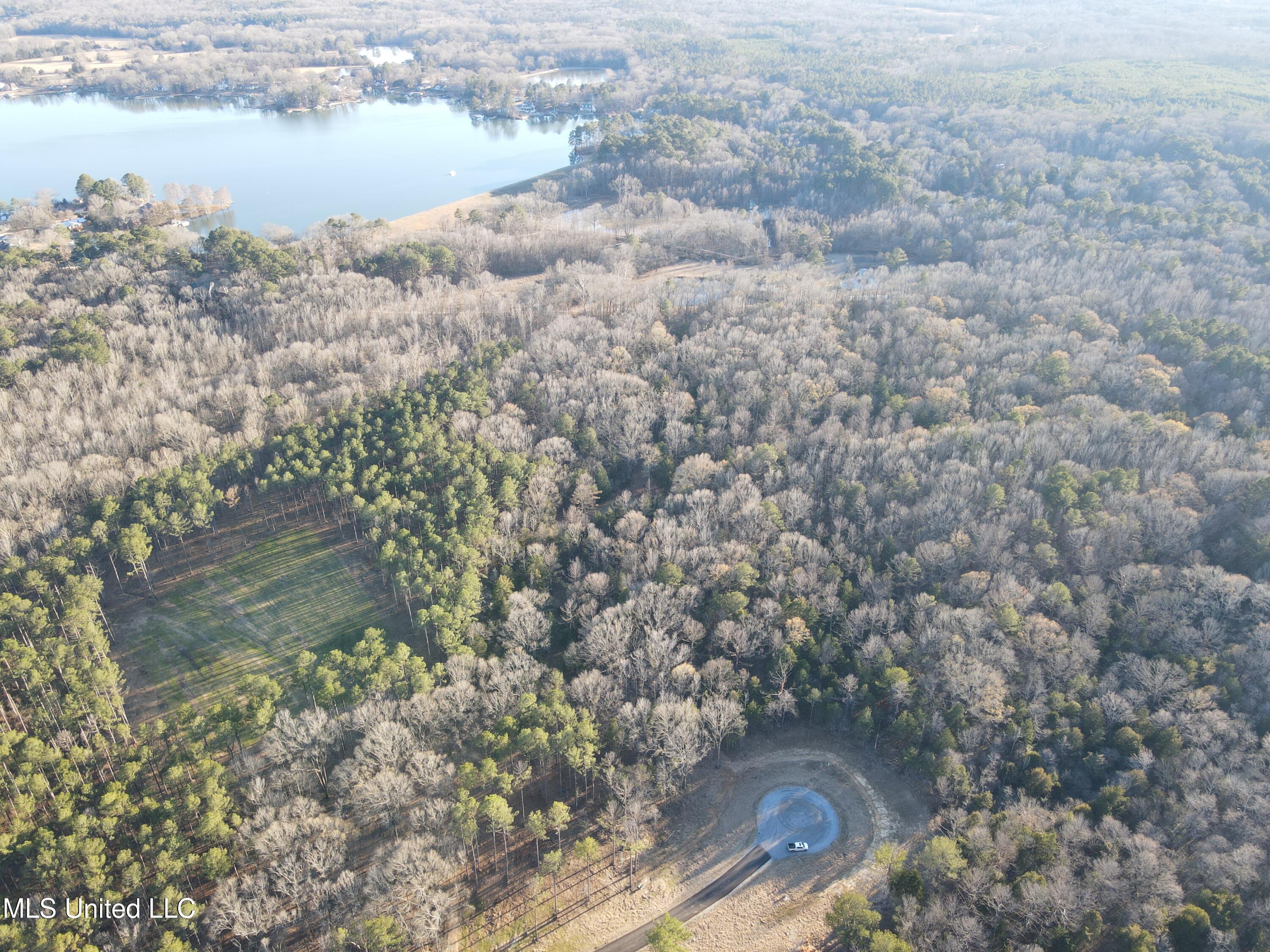Springwood Trail Property Photo 42