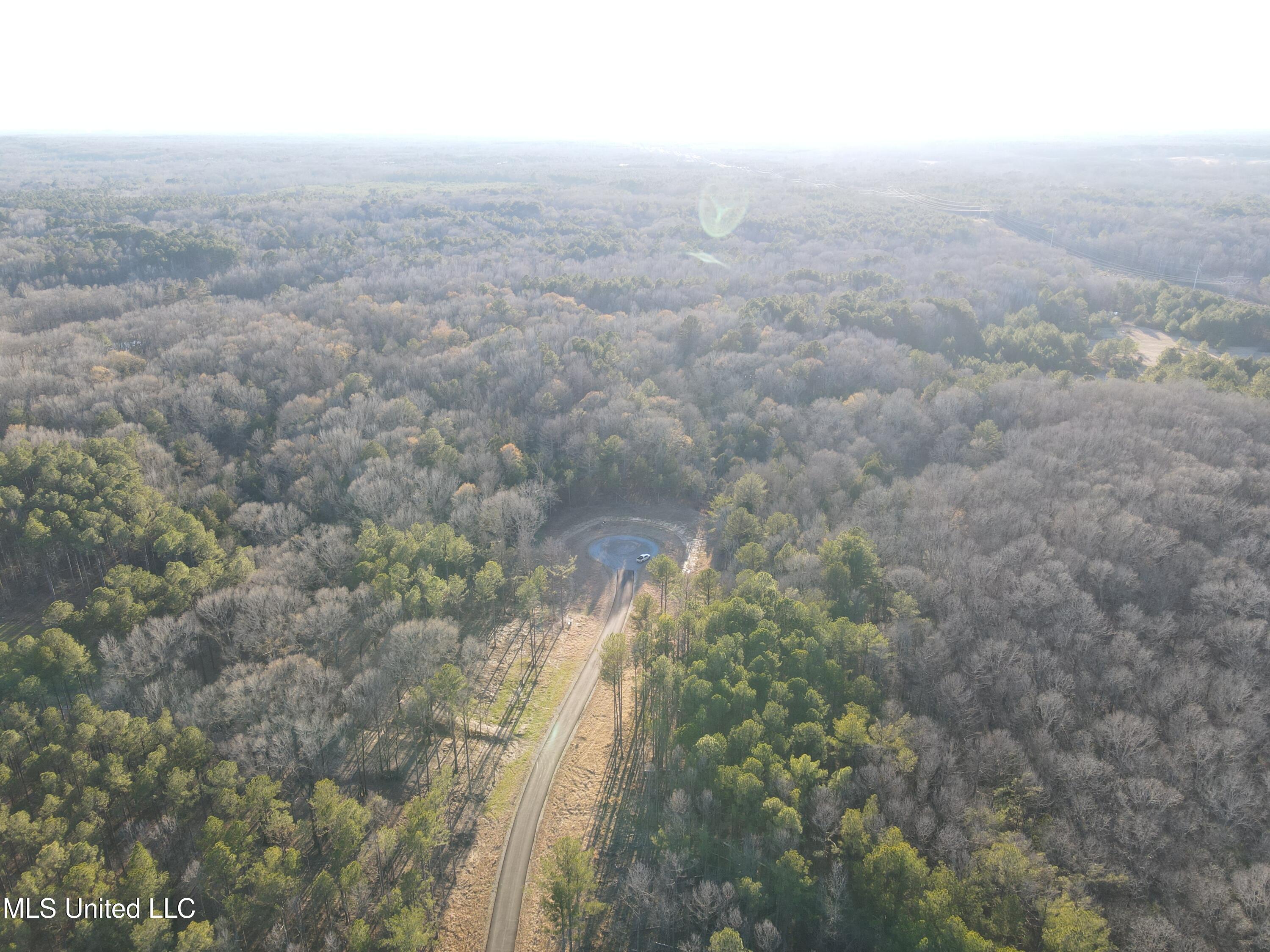 Springwood Trail Property Photo 46