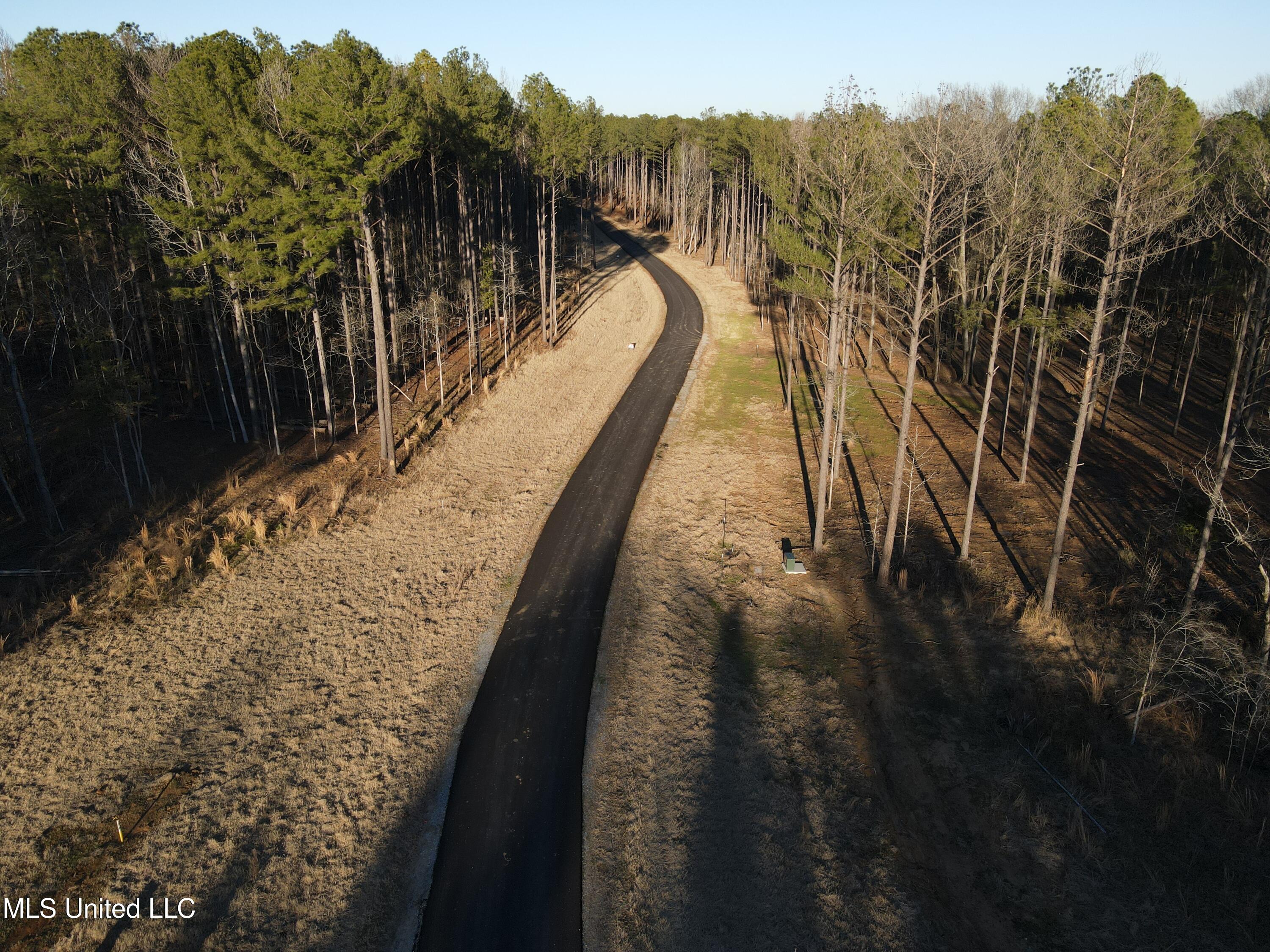 Springwood Trail Property Photo 47