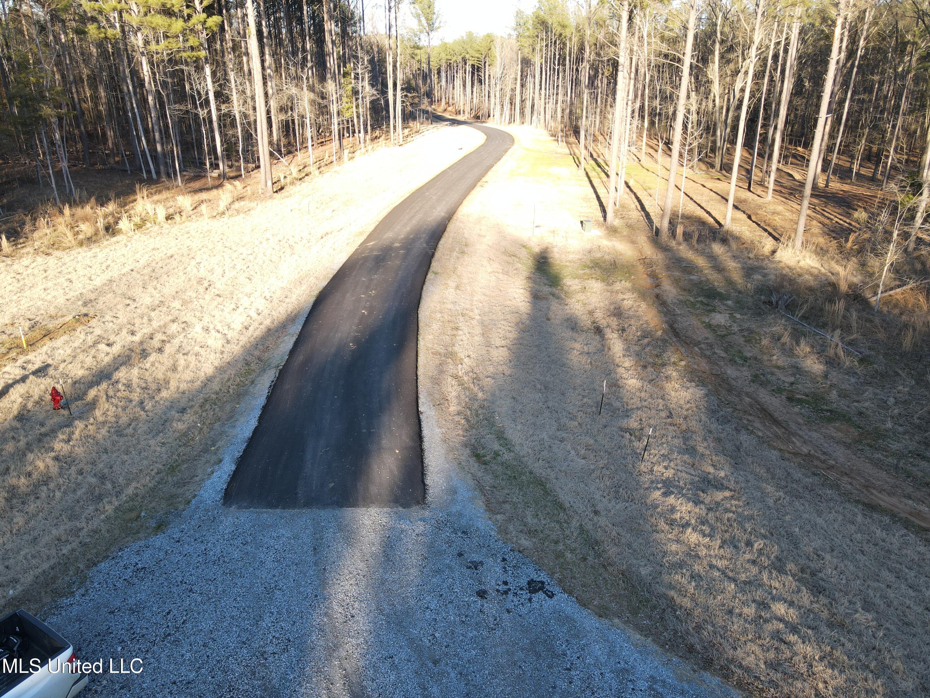 Springwood Trail Property Photo 48