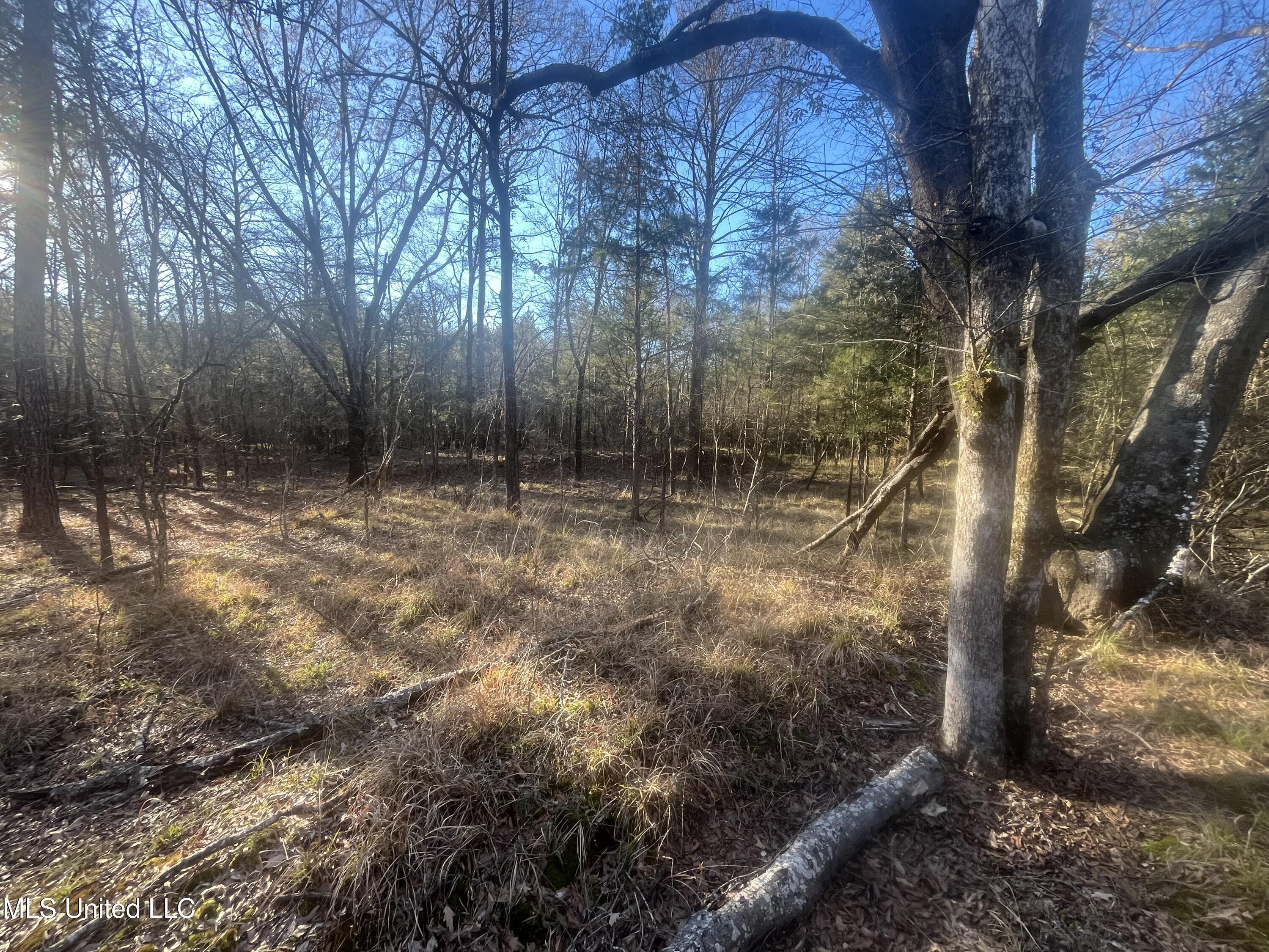 Springwood Trail Property Photo 54