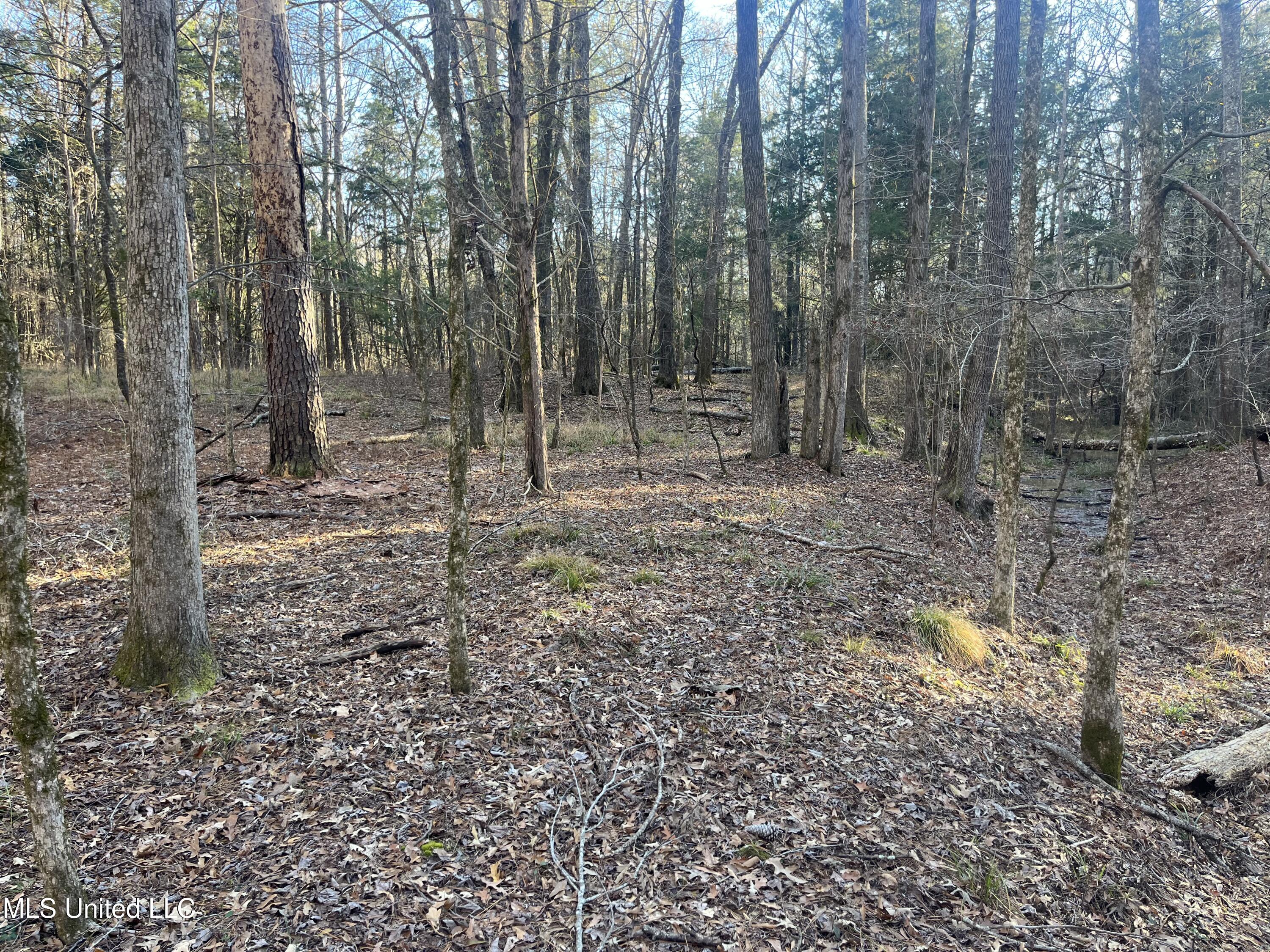 Springwood Trail Property Photo 56