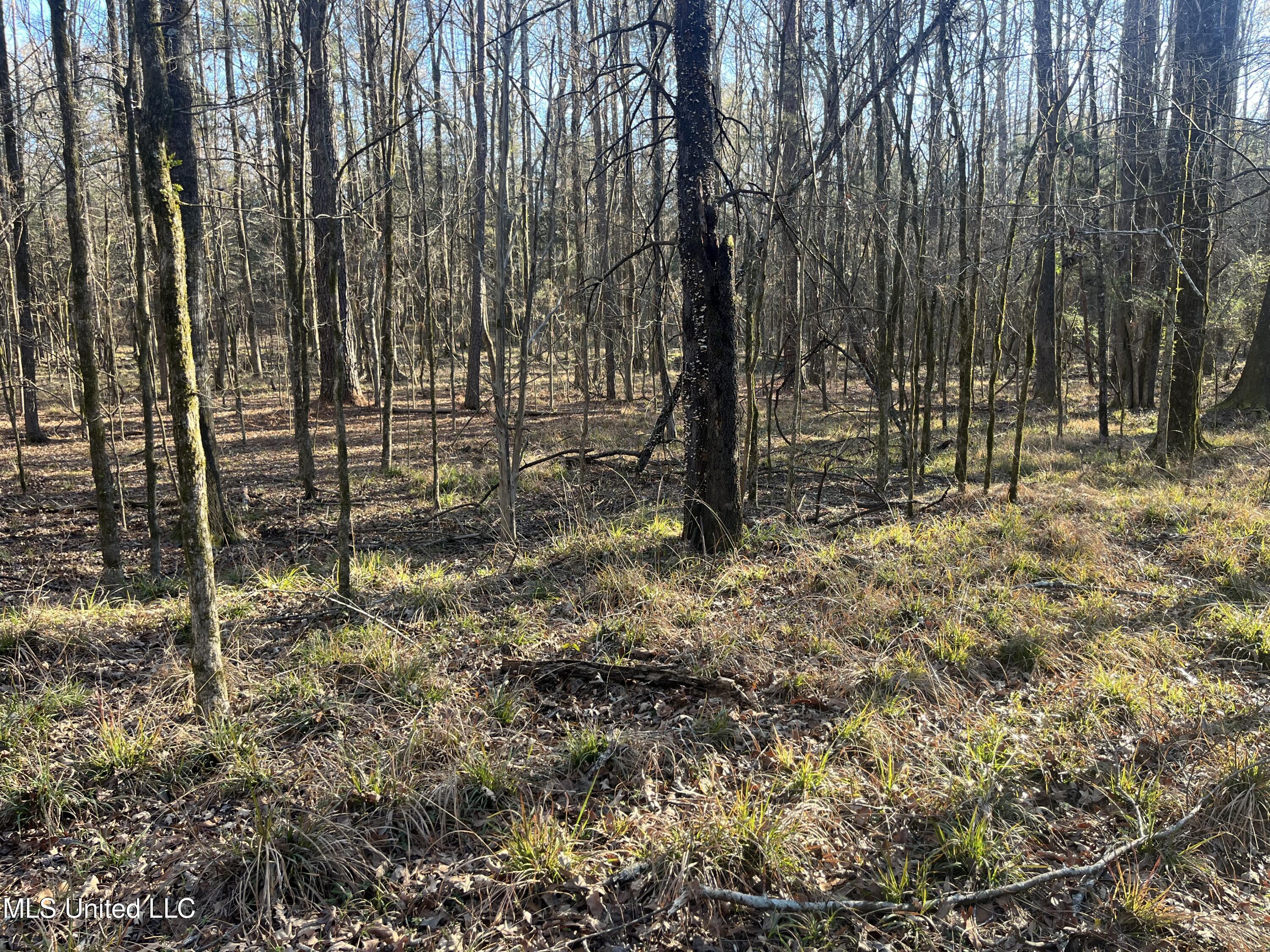 Springwood Trail Property Photo 58