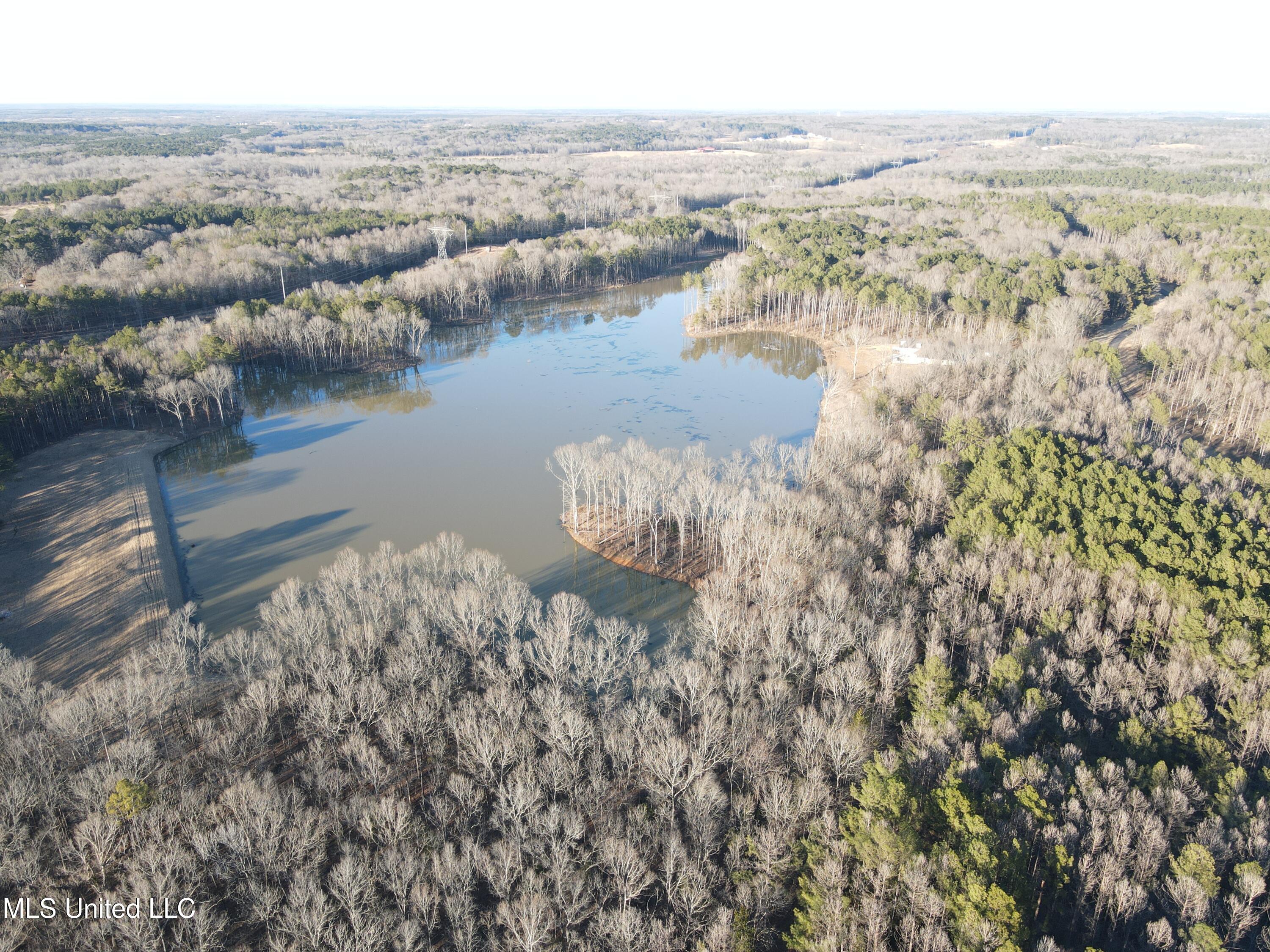Springwood Trail Property Photo 1