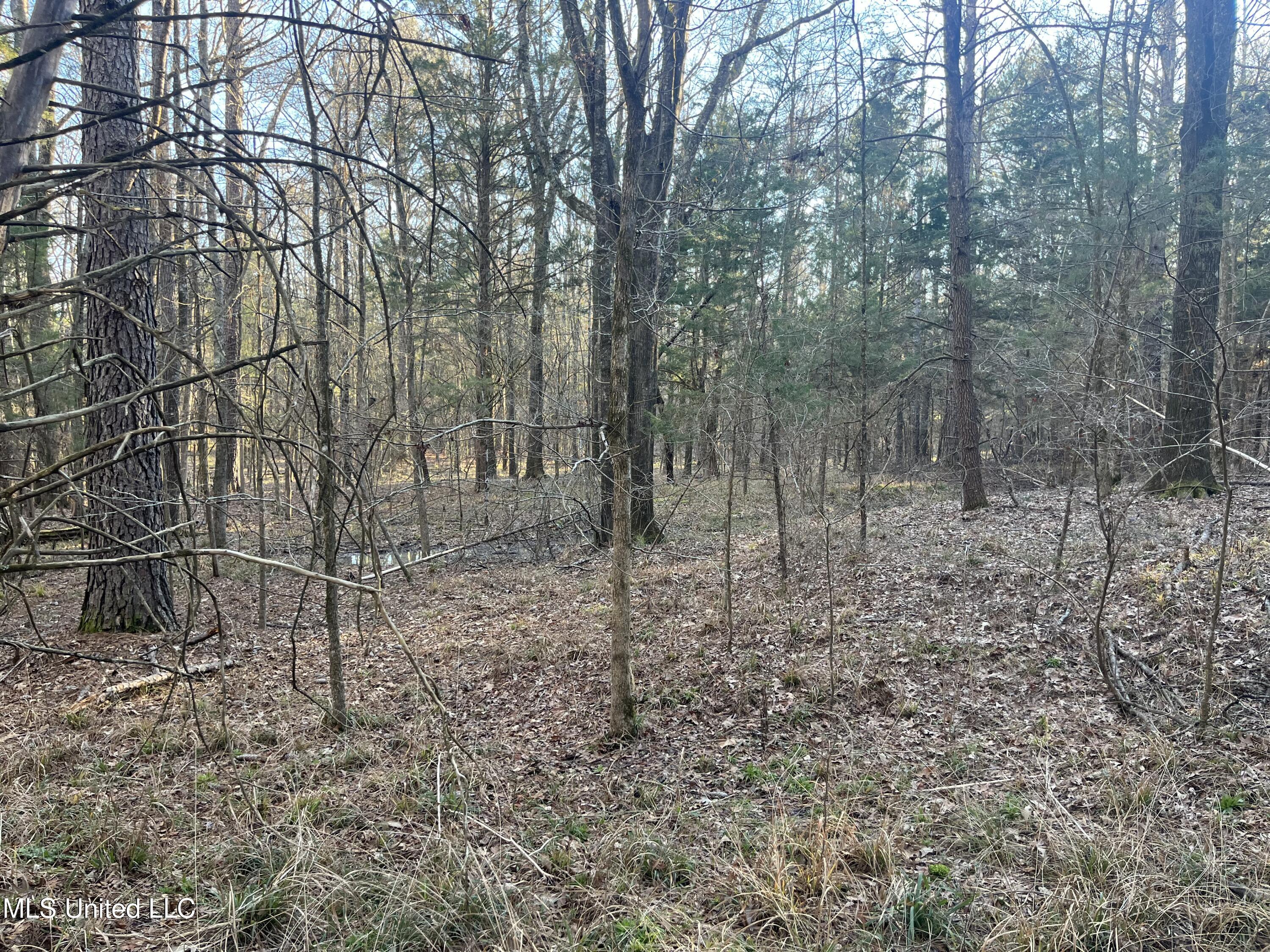 Springwood Trail Property Photo 11