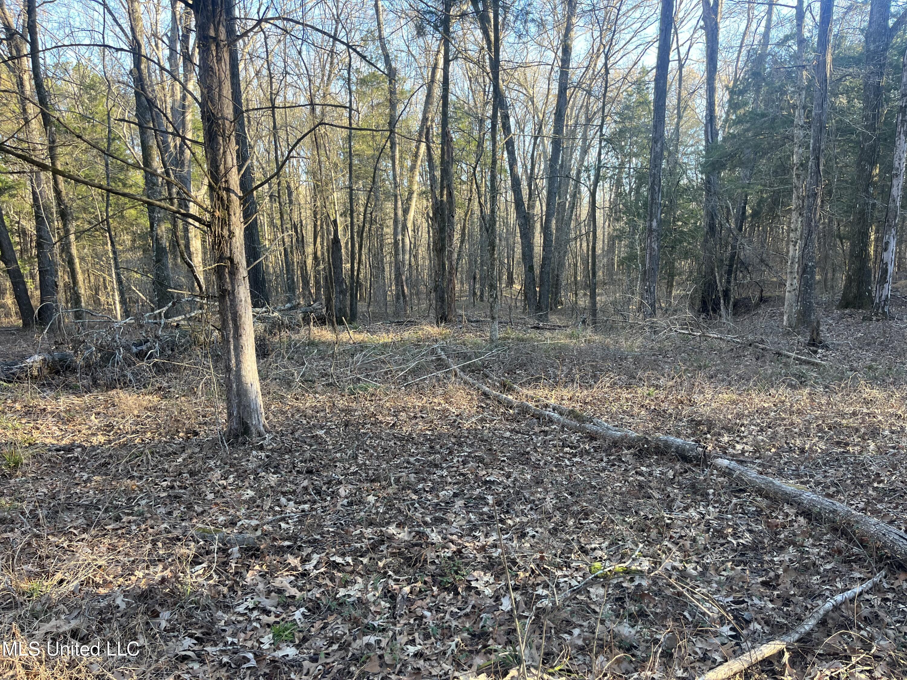 Springwood Trail Property Photo 12
