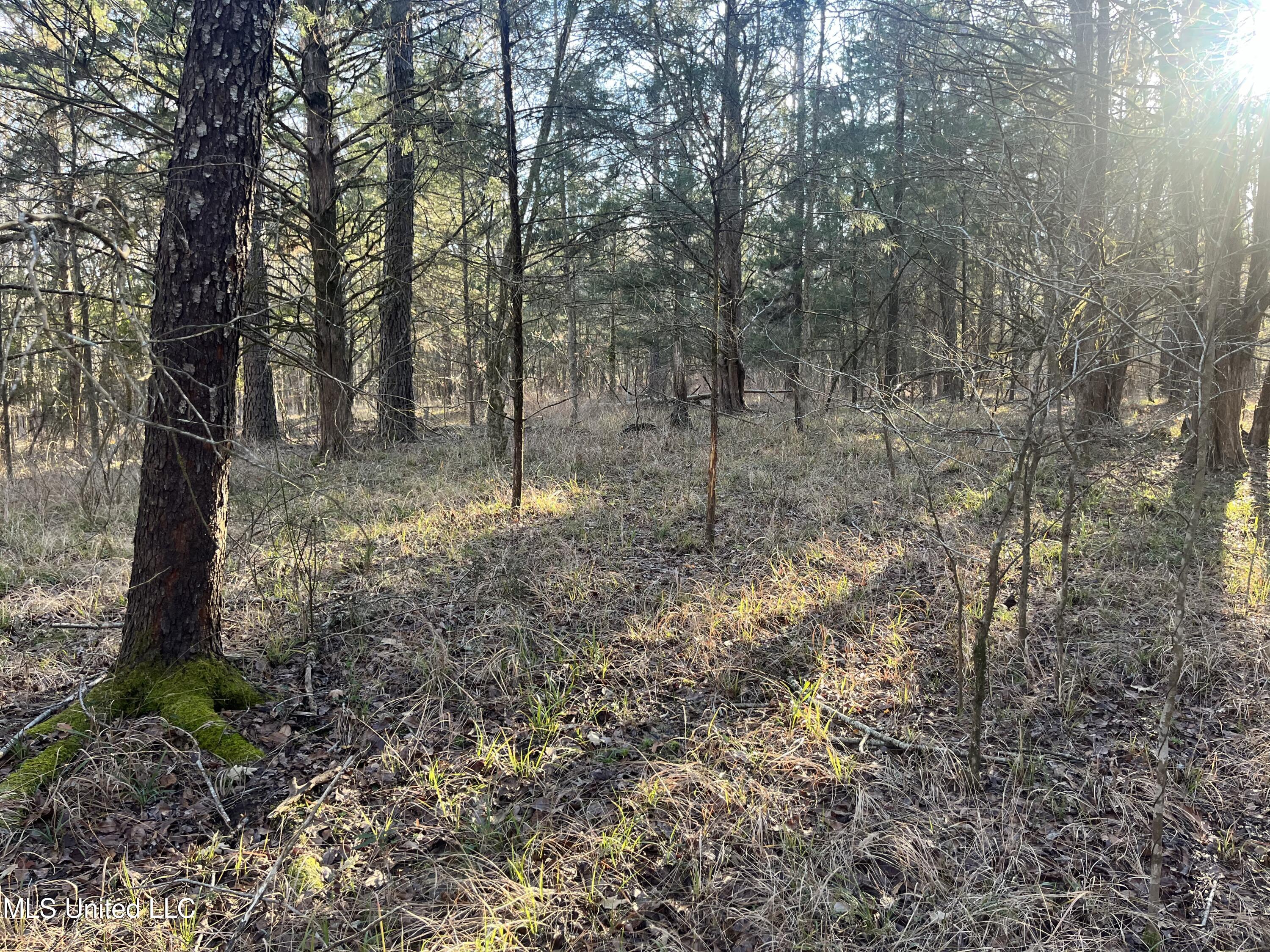 Springwood Trail Property Photo 16