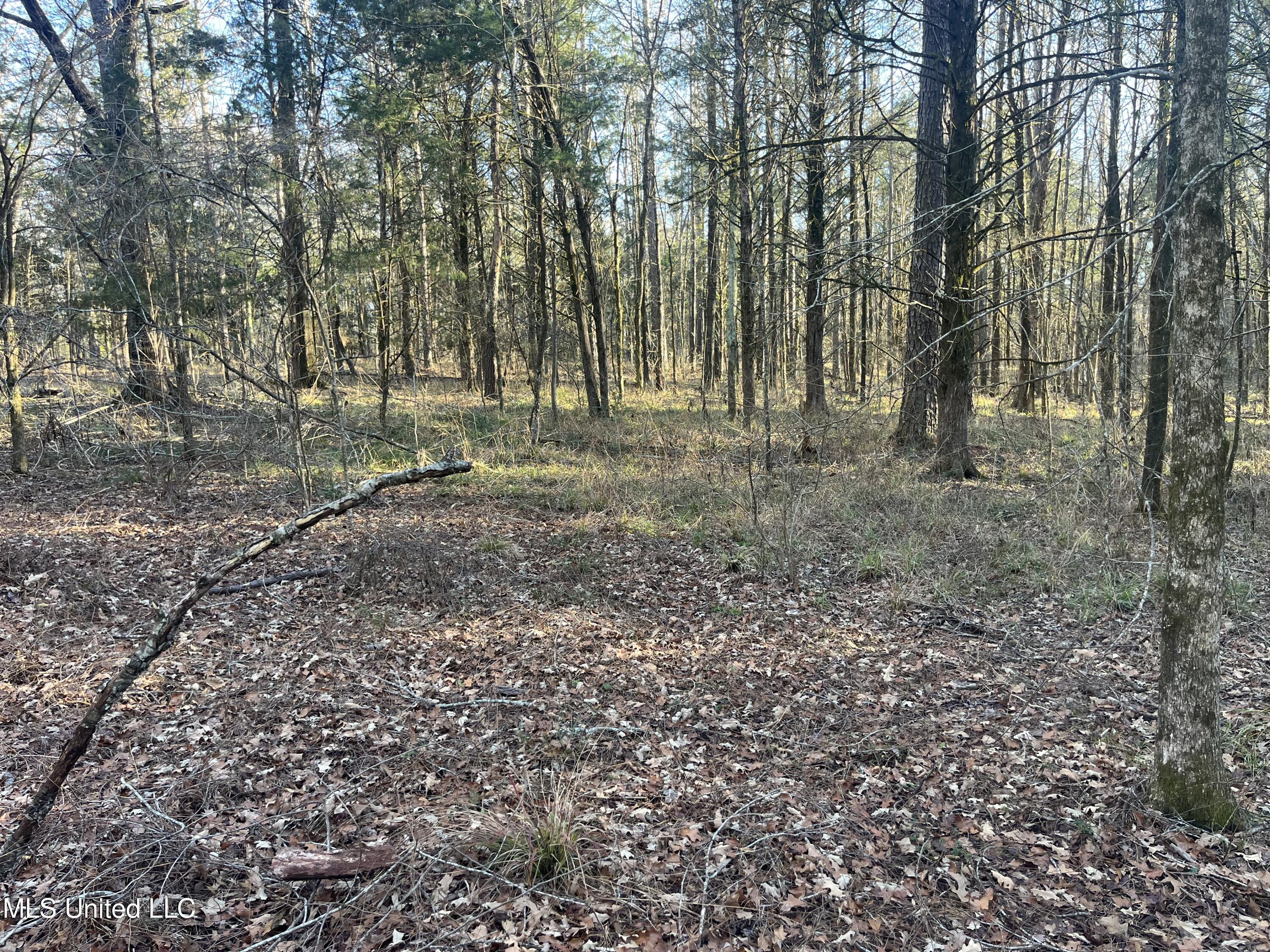Springwood Trail Property Photo 20