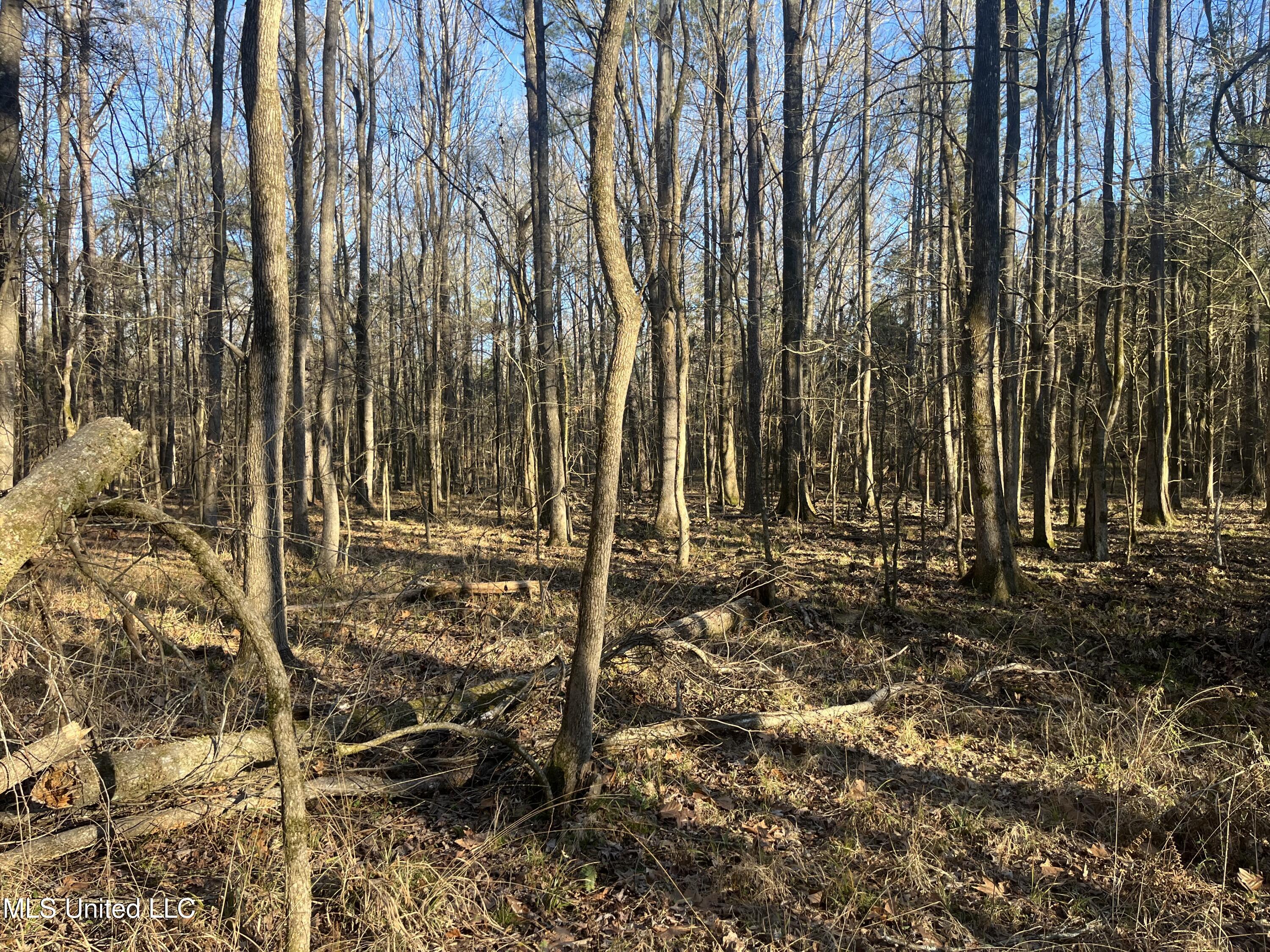 Springwood Trail Property Photo 22