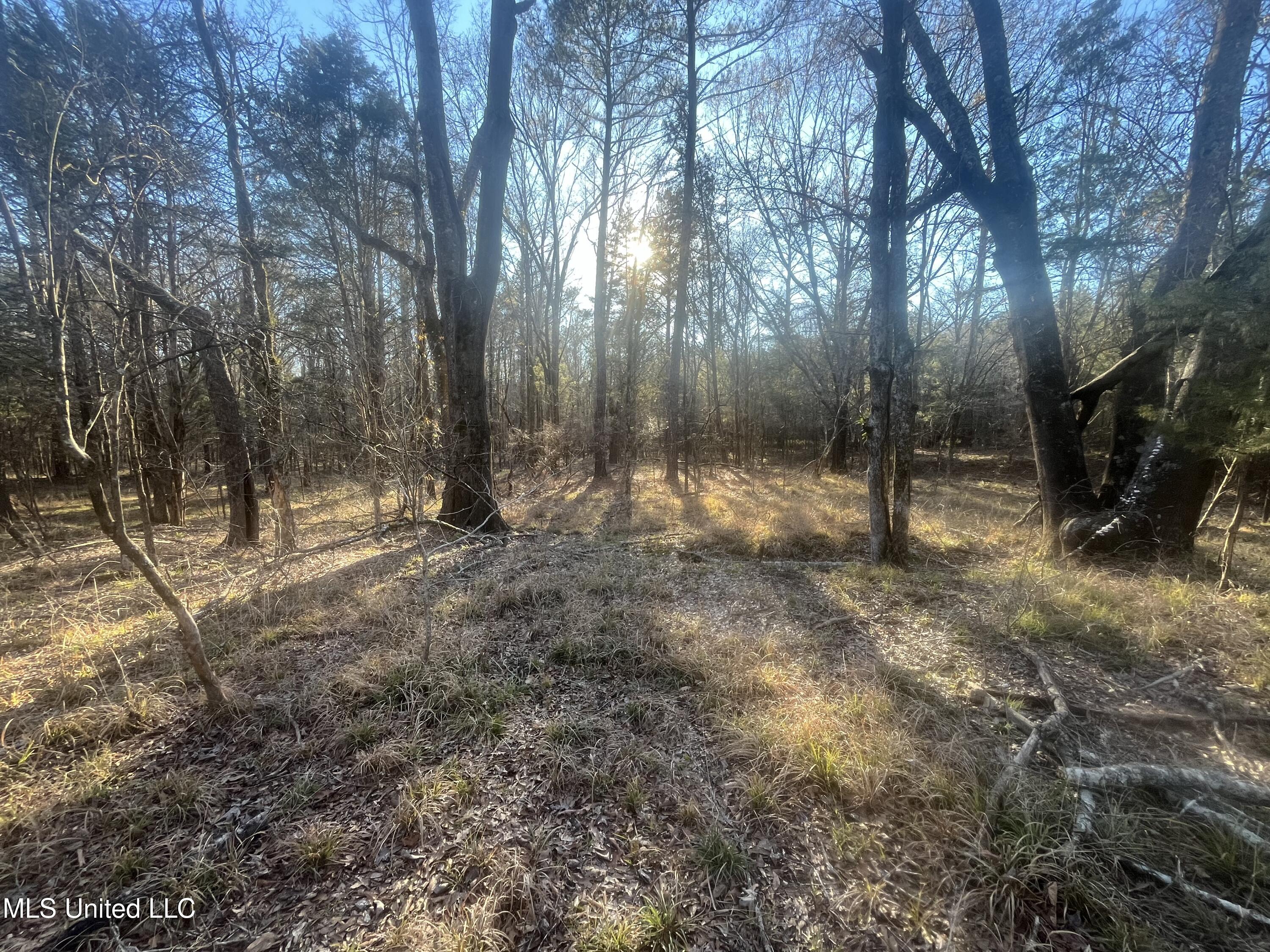 Springwood Trail Property Photo 27