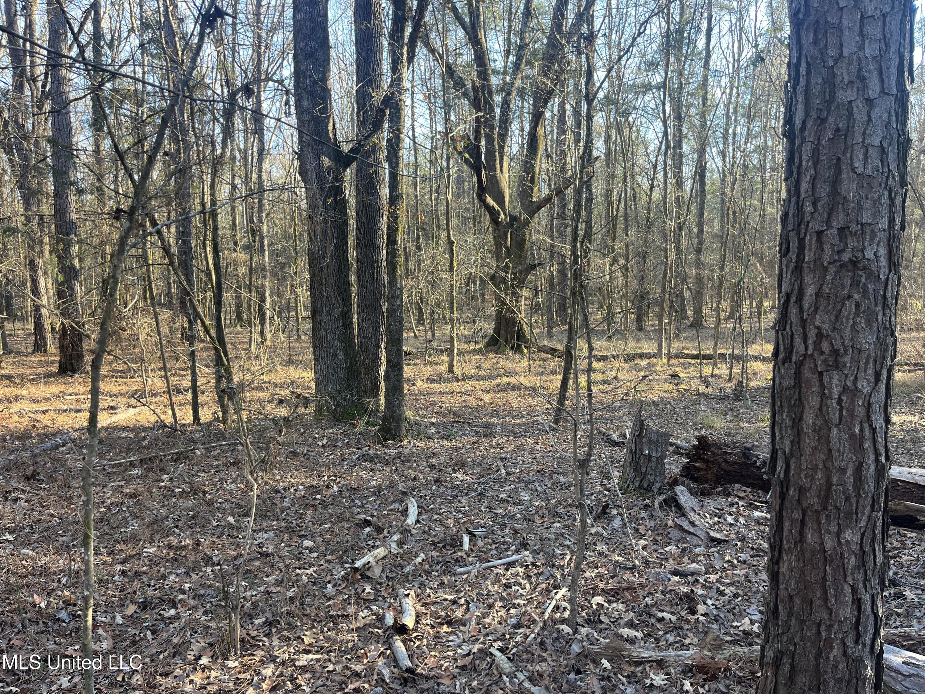 Springwood Trail Property Photo 29
