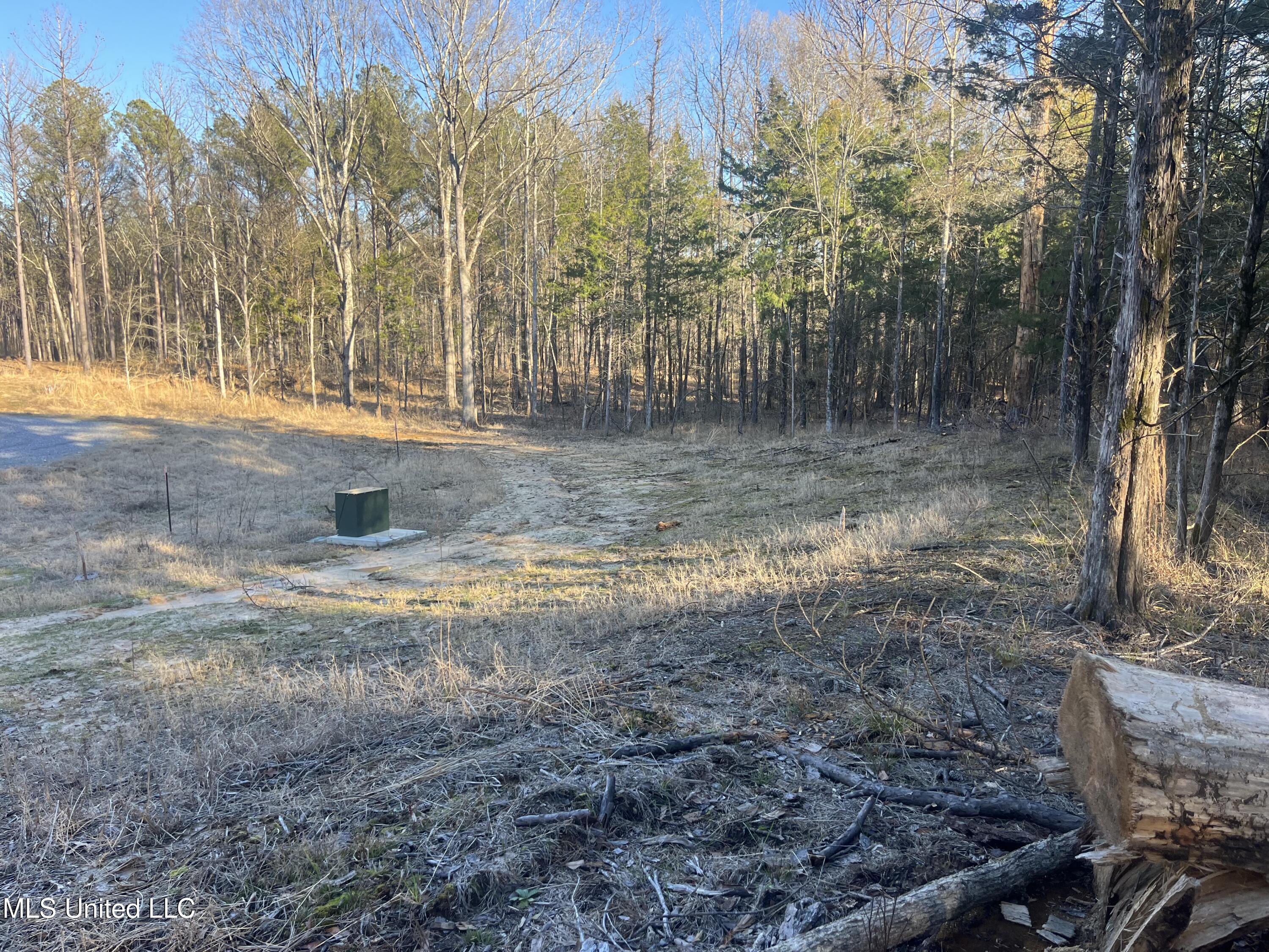 Springwood Trail Property Photo 31