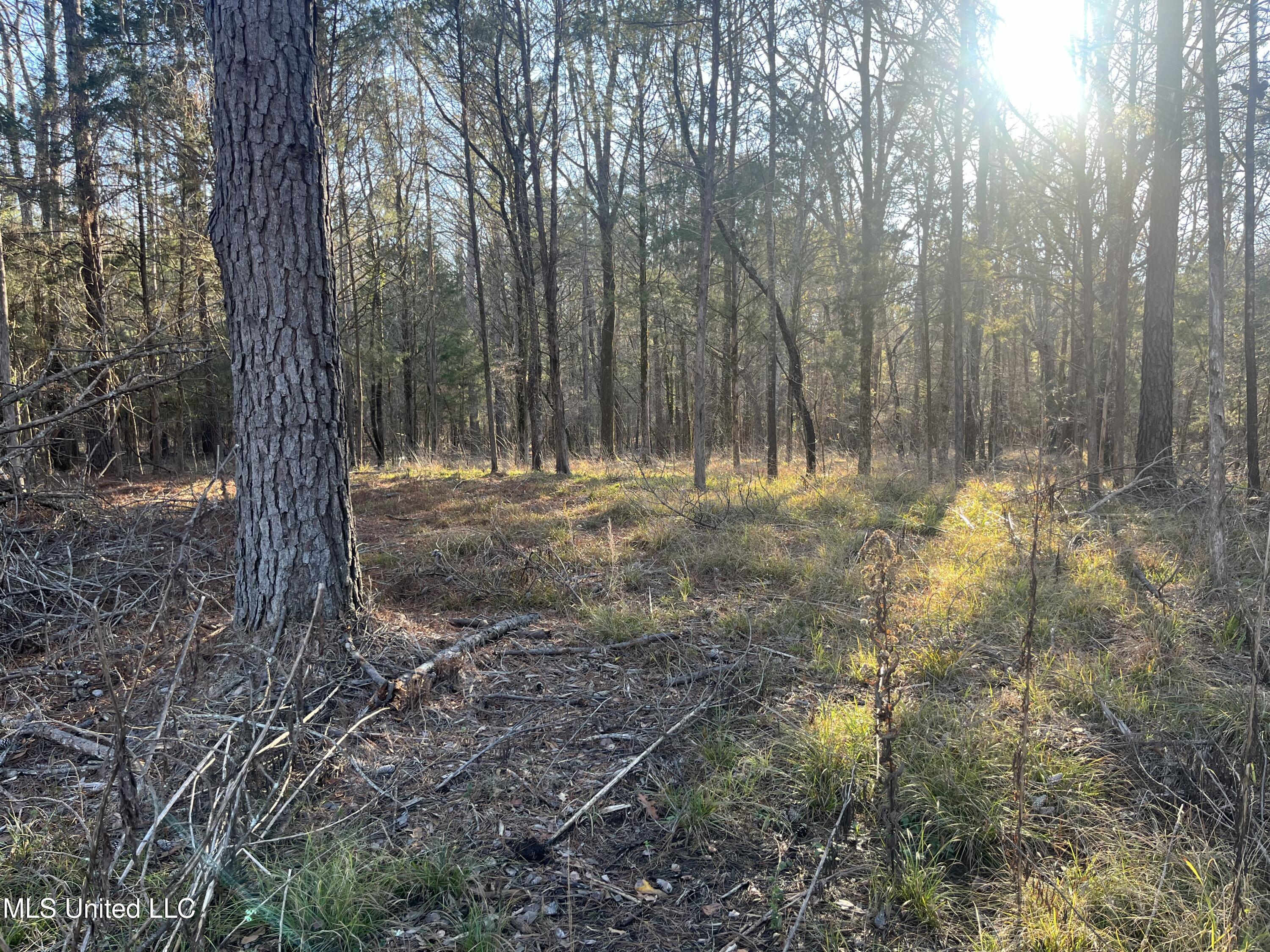 Springwood Trail Property Photo 34