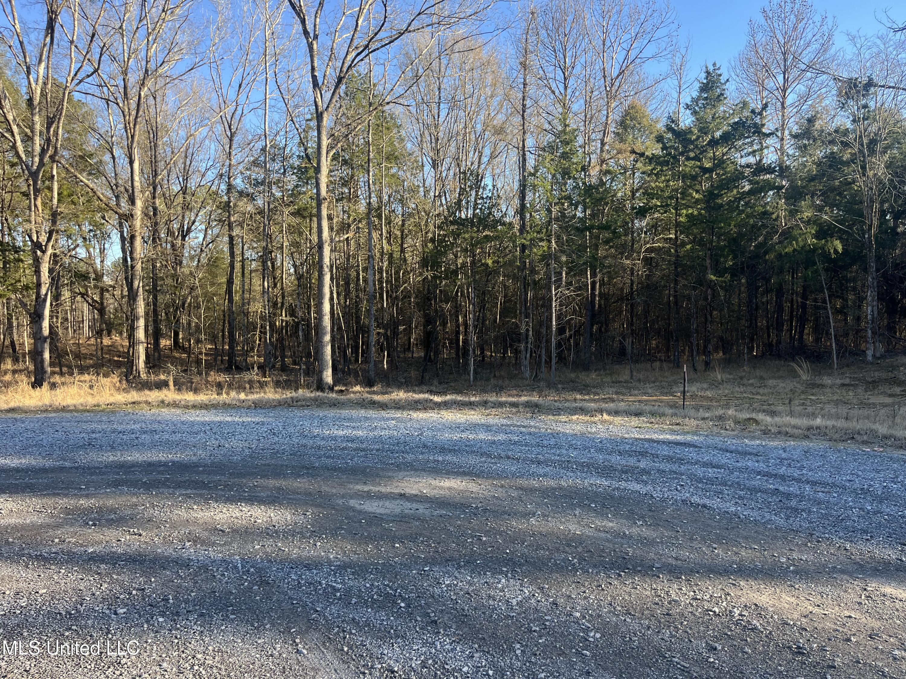 Springwood Trail Property Photo 36