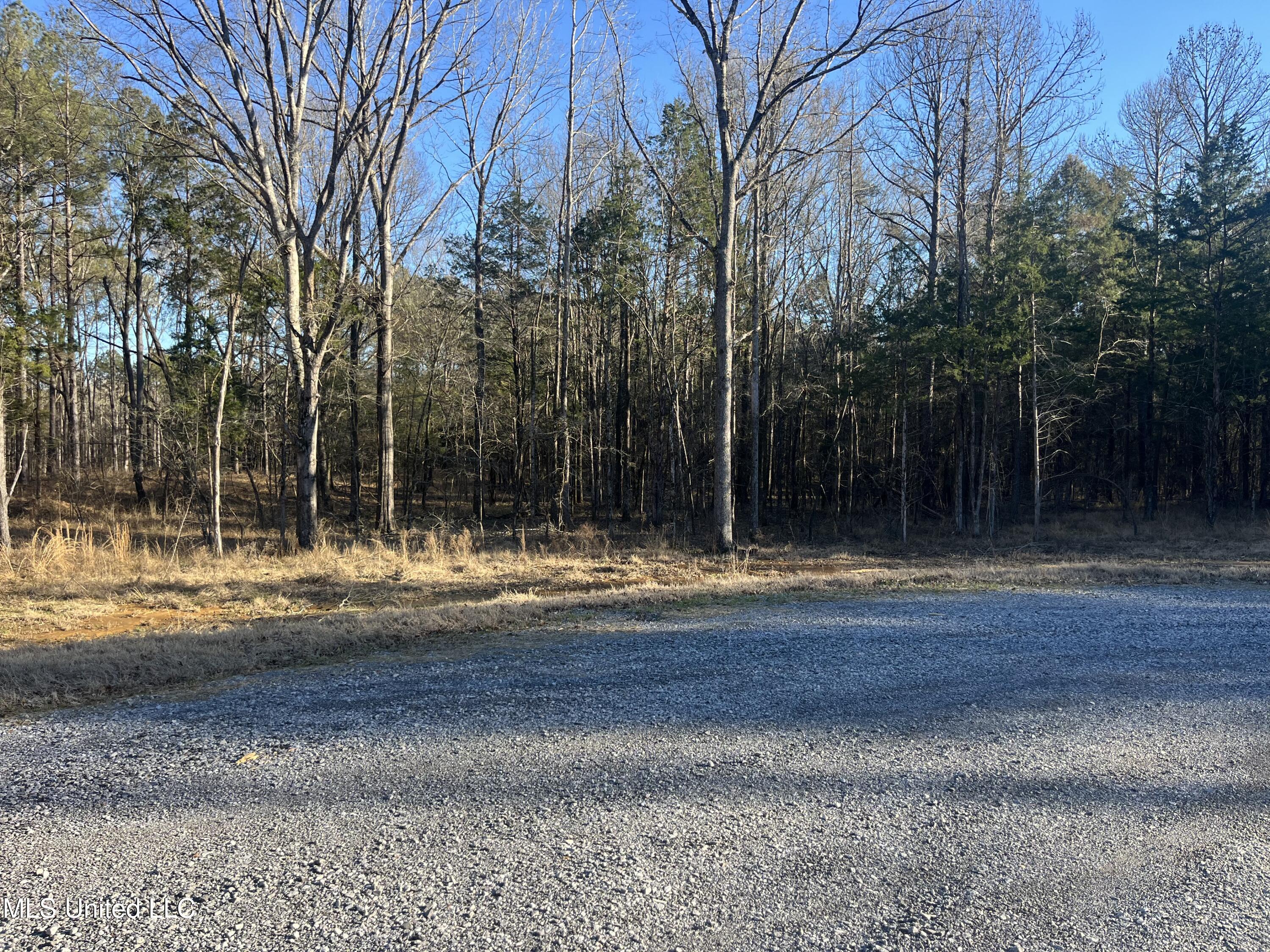 Springwood Trail Property Photo 37