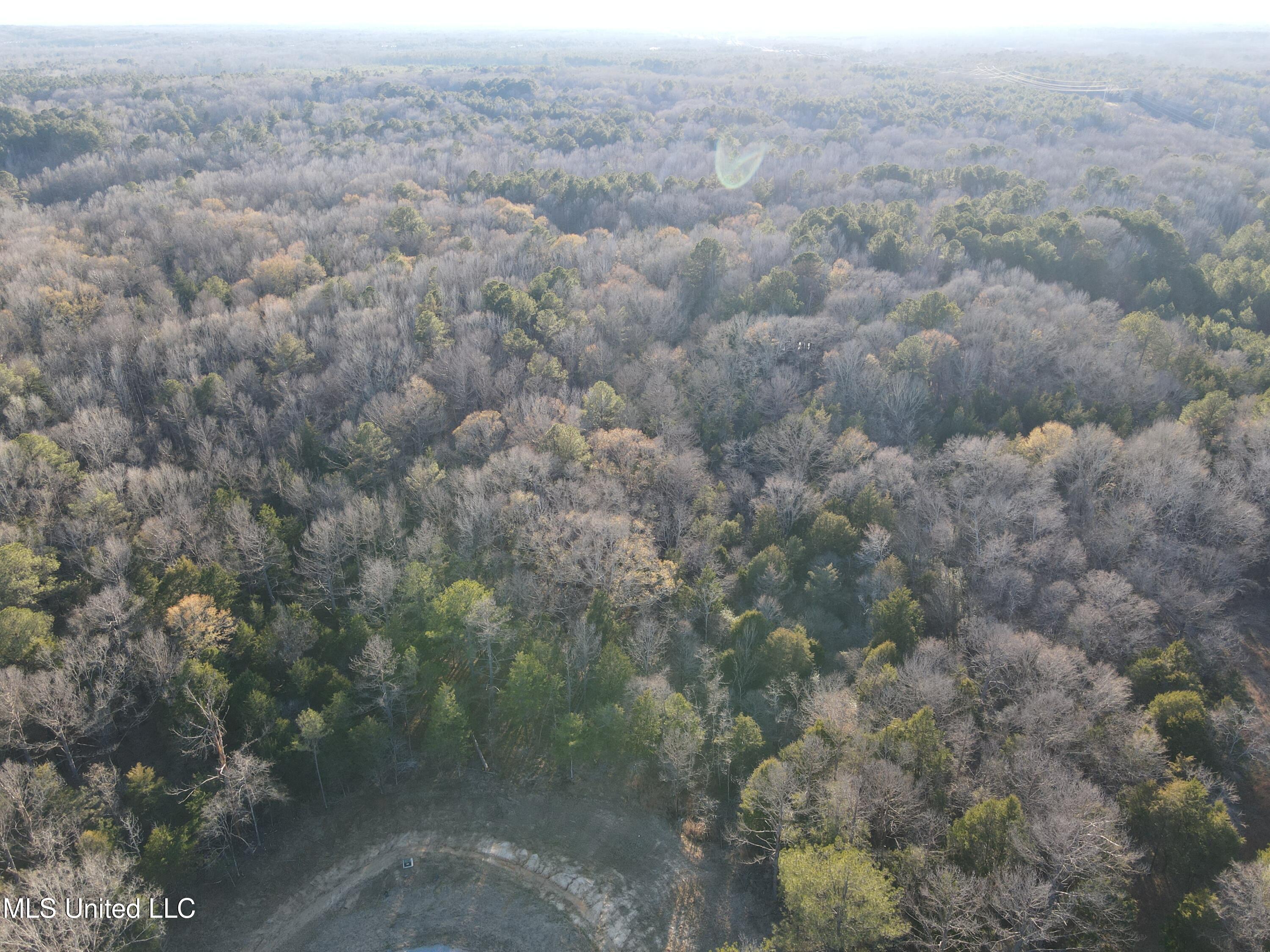 Springwood Trail Property Photo 40