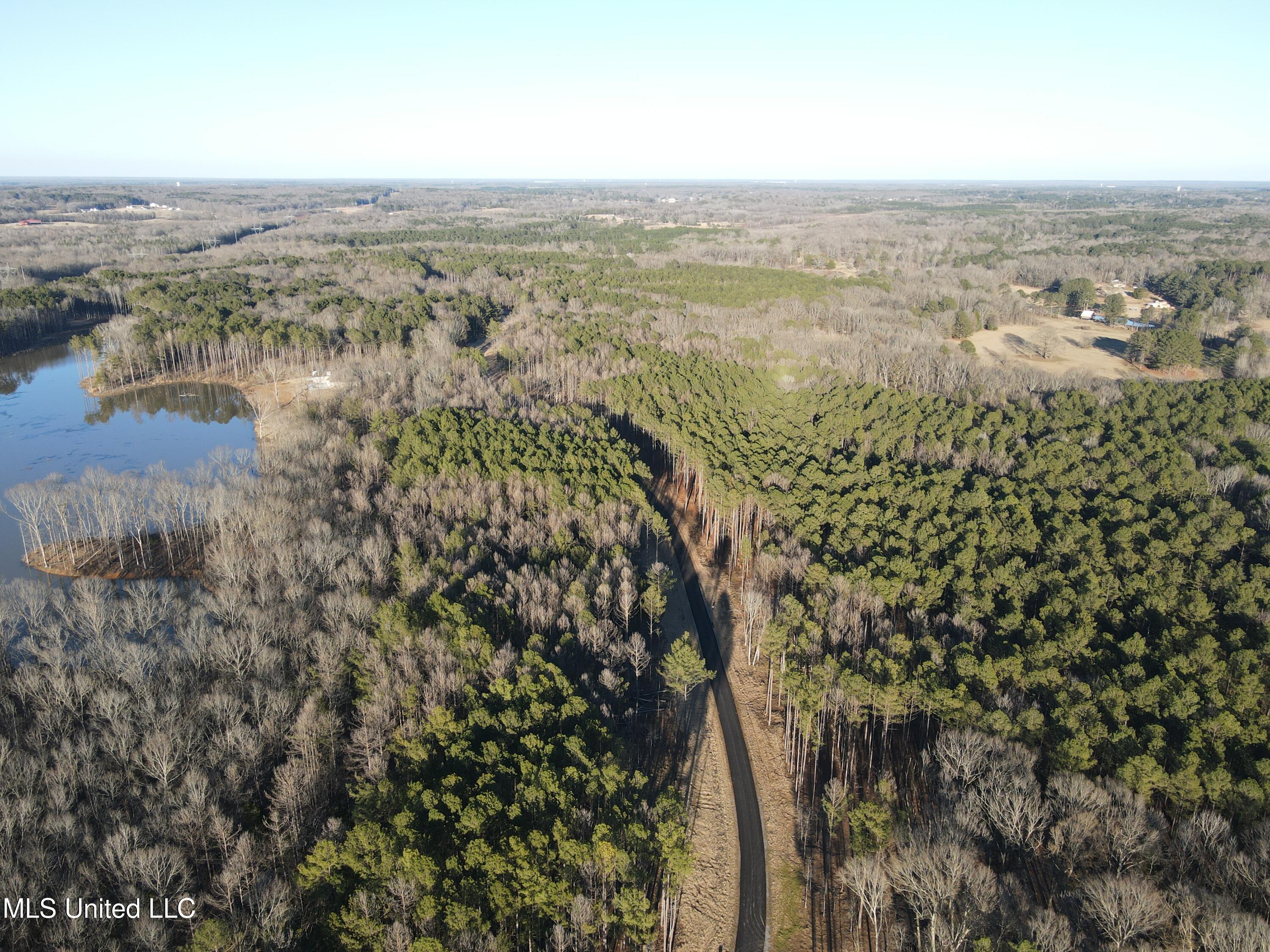 Springwood Trail Property Photo 57