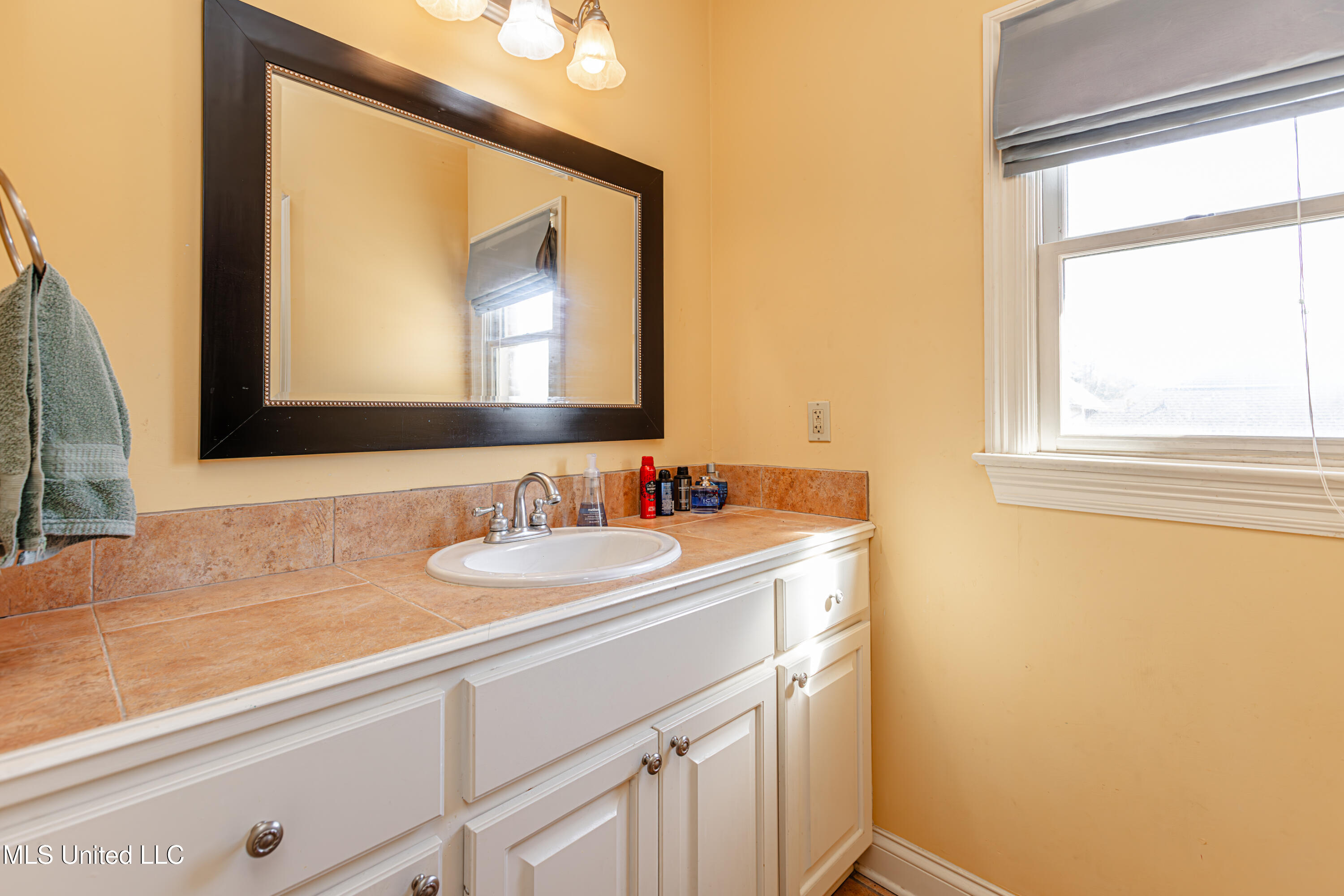 281 Lake Village Drive Property Photo 70