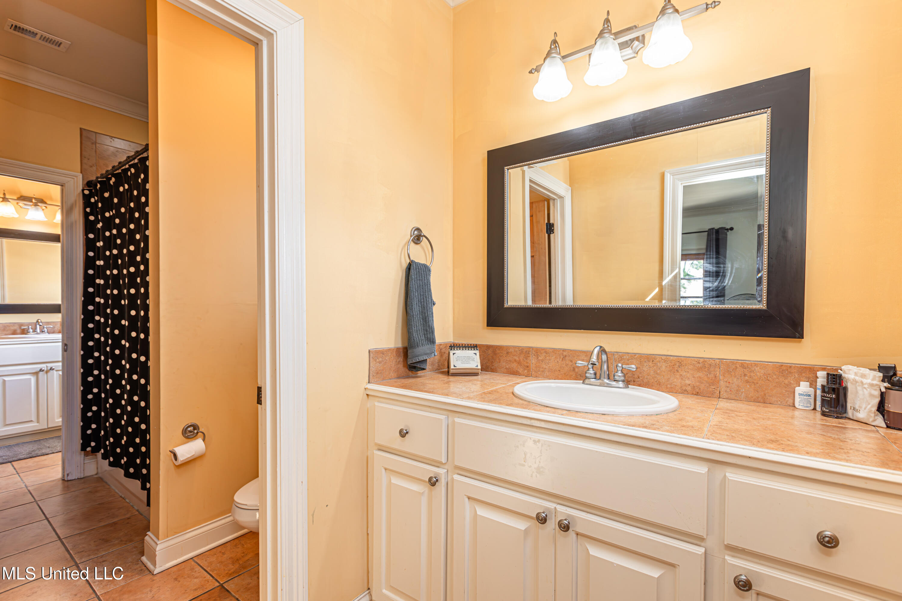 281 Lake Village Drive Property Photo 75