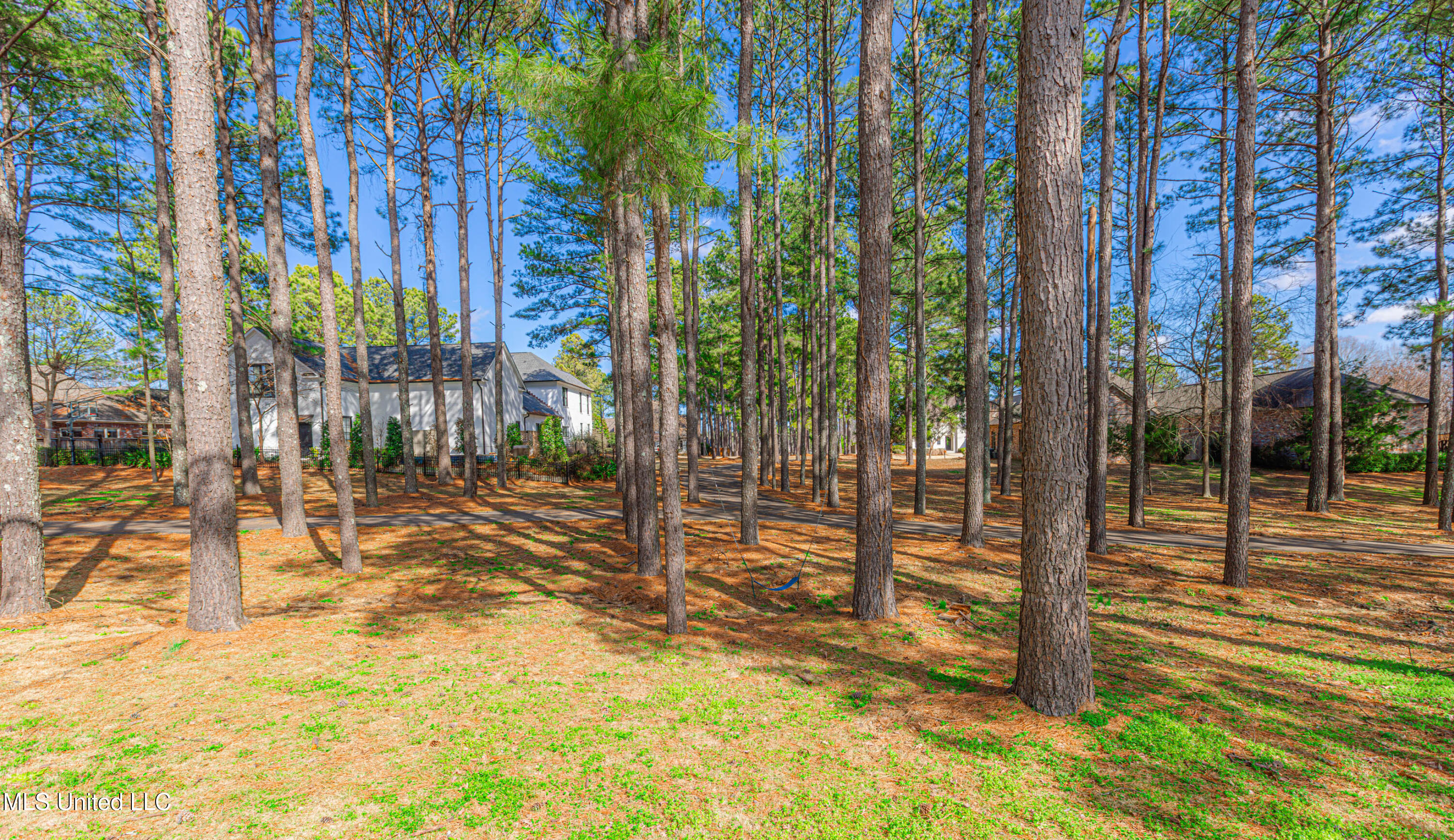 281 Lake Village Drive Property Photo 85