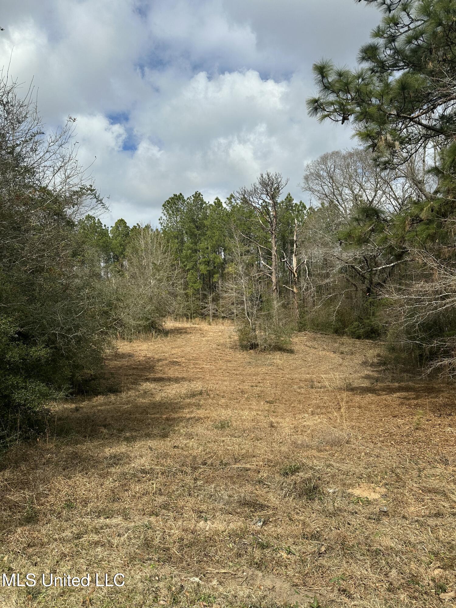 0 Bisbee Drive Property Photo 2
