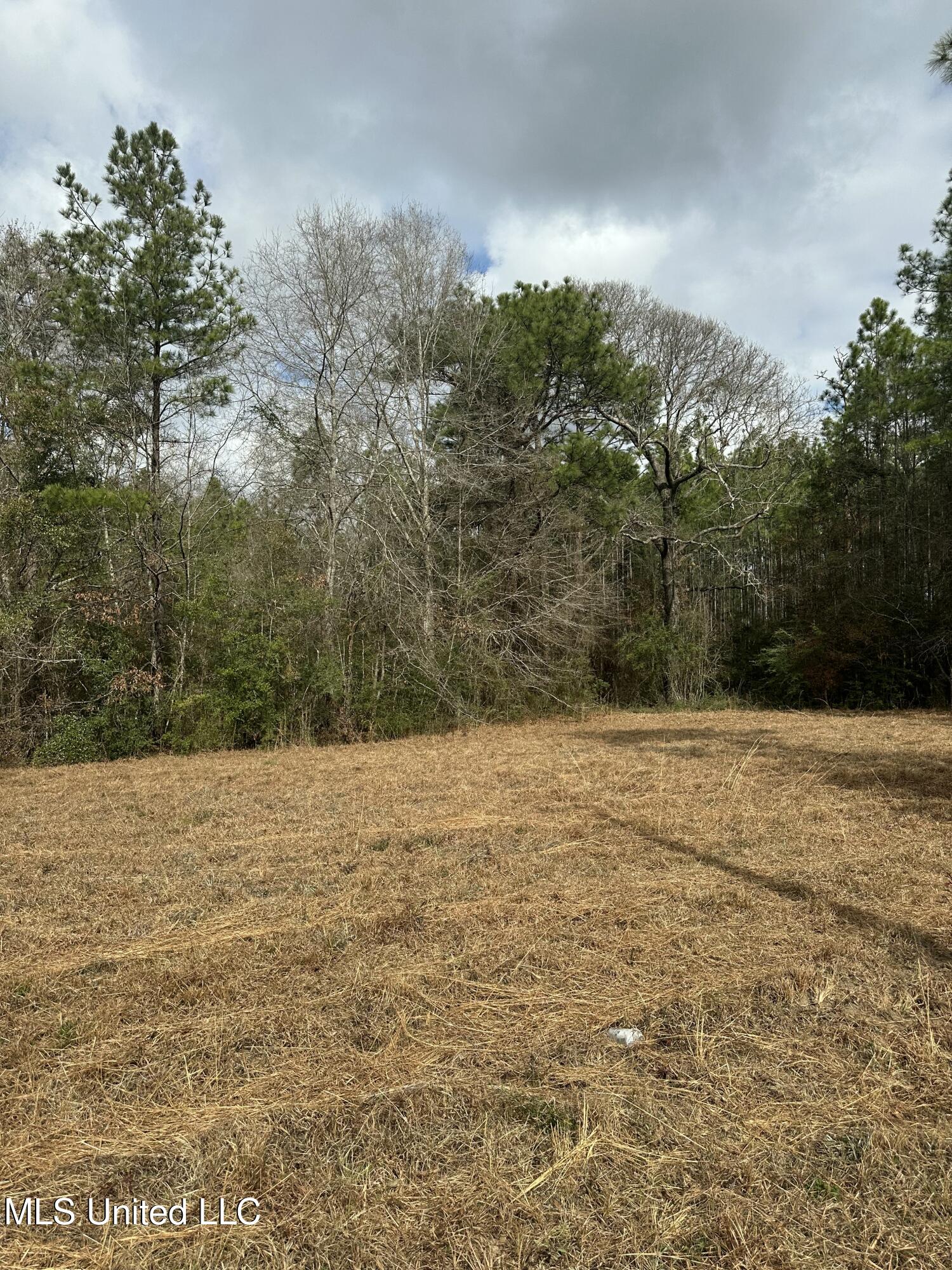 0 Bisbee Drive Property Photo 3