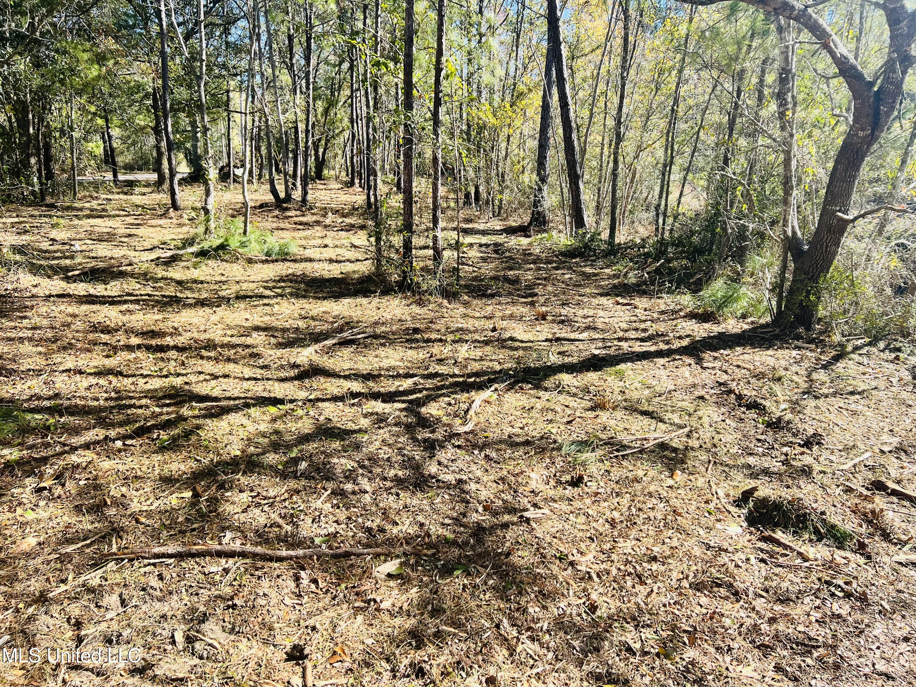 Nhn Lot #7 18 Th Street Property Photo 1