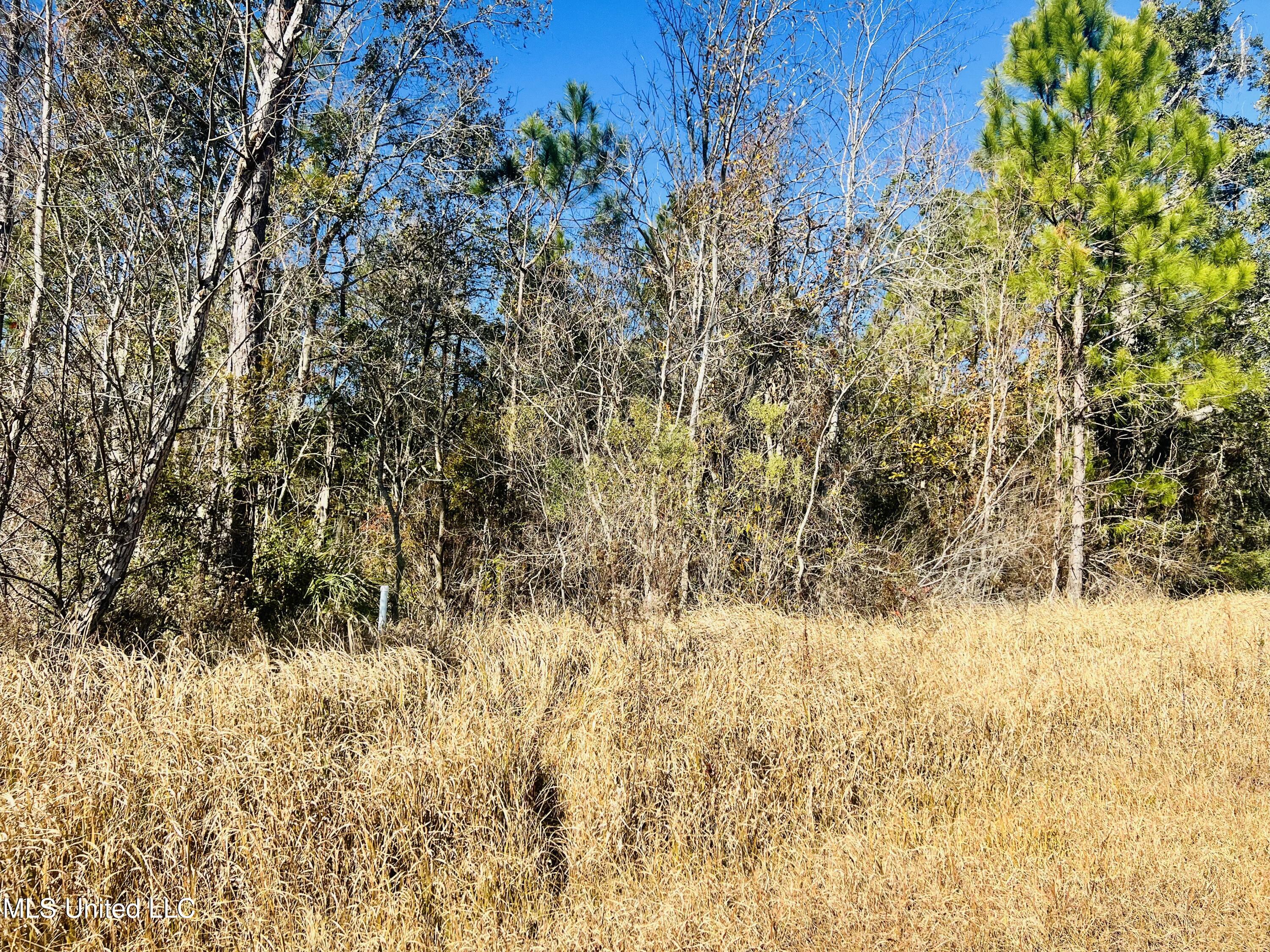 Nhn Lot 8 18 Th Street Property Photo 1