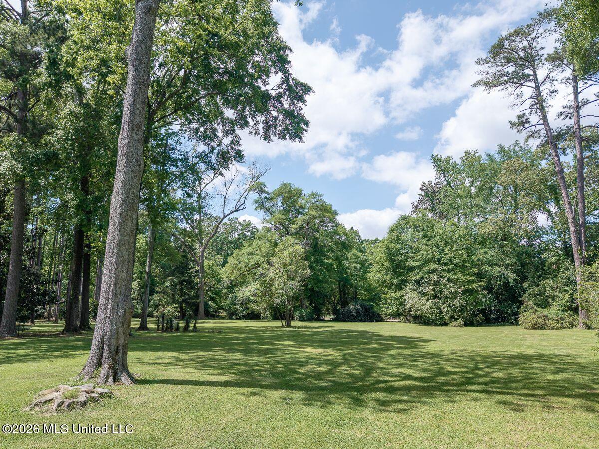 551 John R Junkin Drive Property Photo 78
