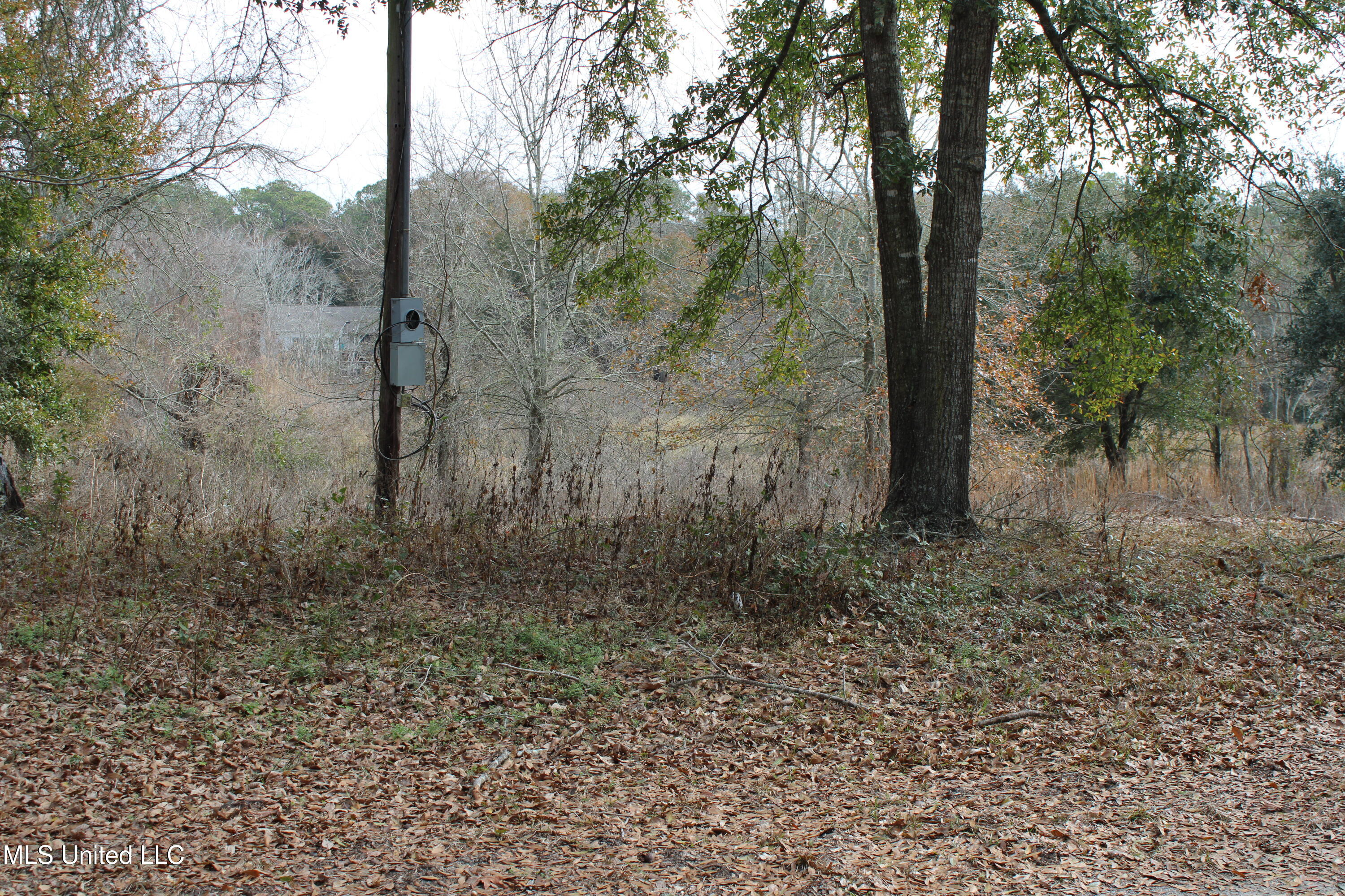 1500 Barracuda Drive Property Photo 20