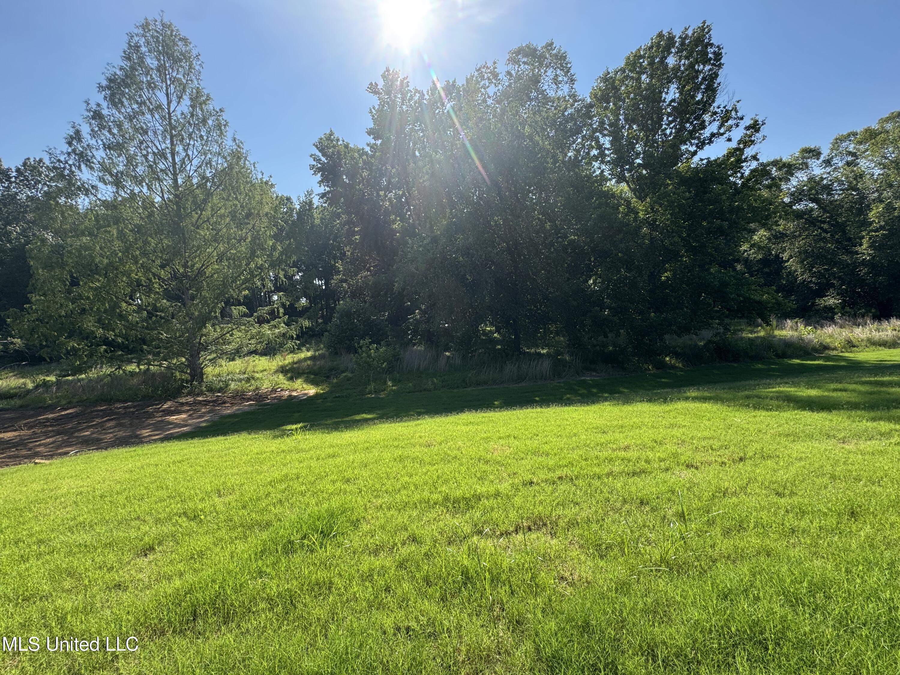 4243 W Olivia Circle Property Photo 10