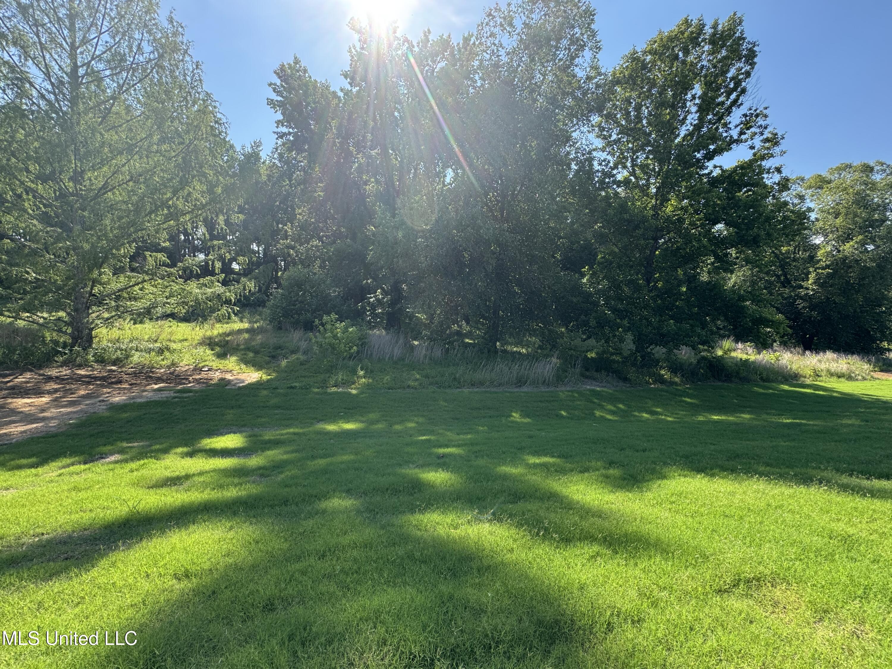 4243 W Olivia Circle Property Photo 12