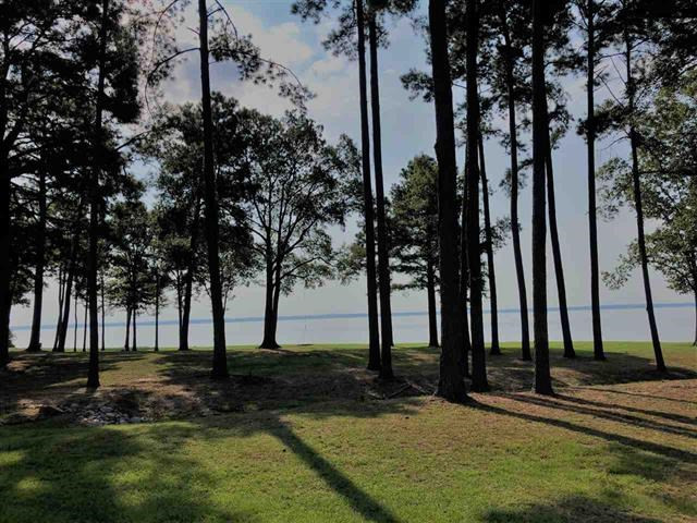 236 Lemoyne Boulevard Property Photo 3