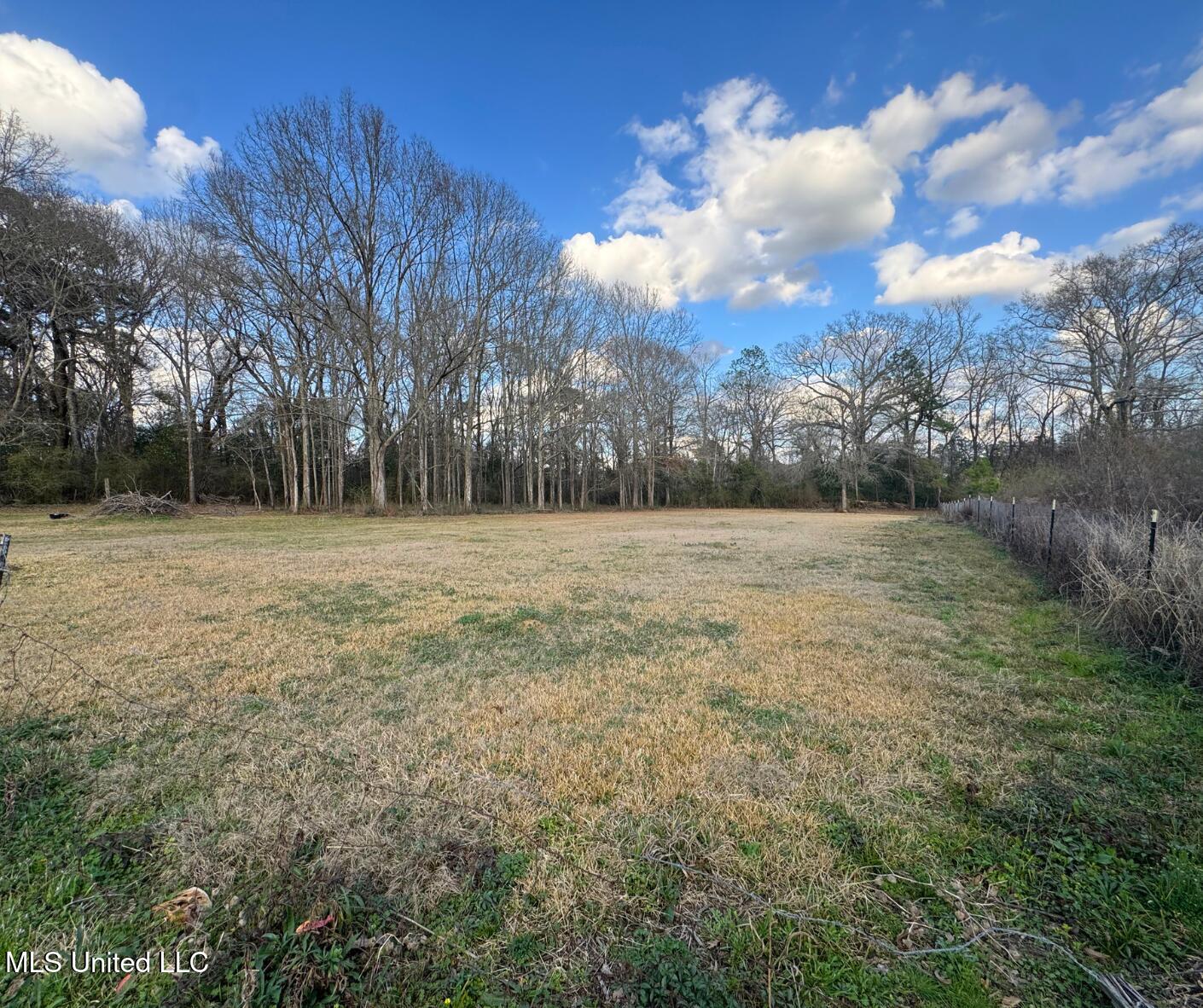 1041 Van Norman Property Photo 6