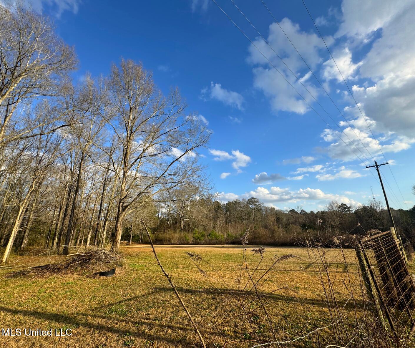 1041 Van Norman Property Photo 8