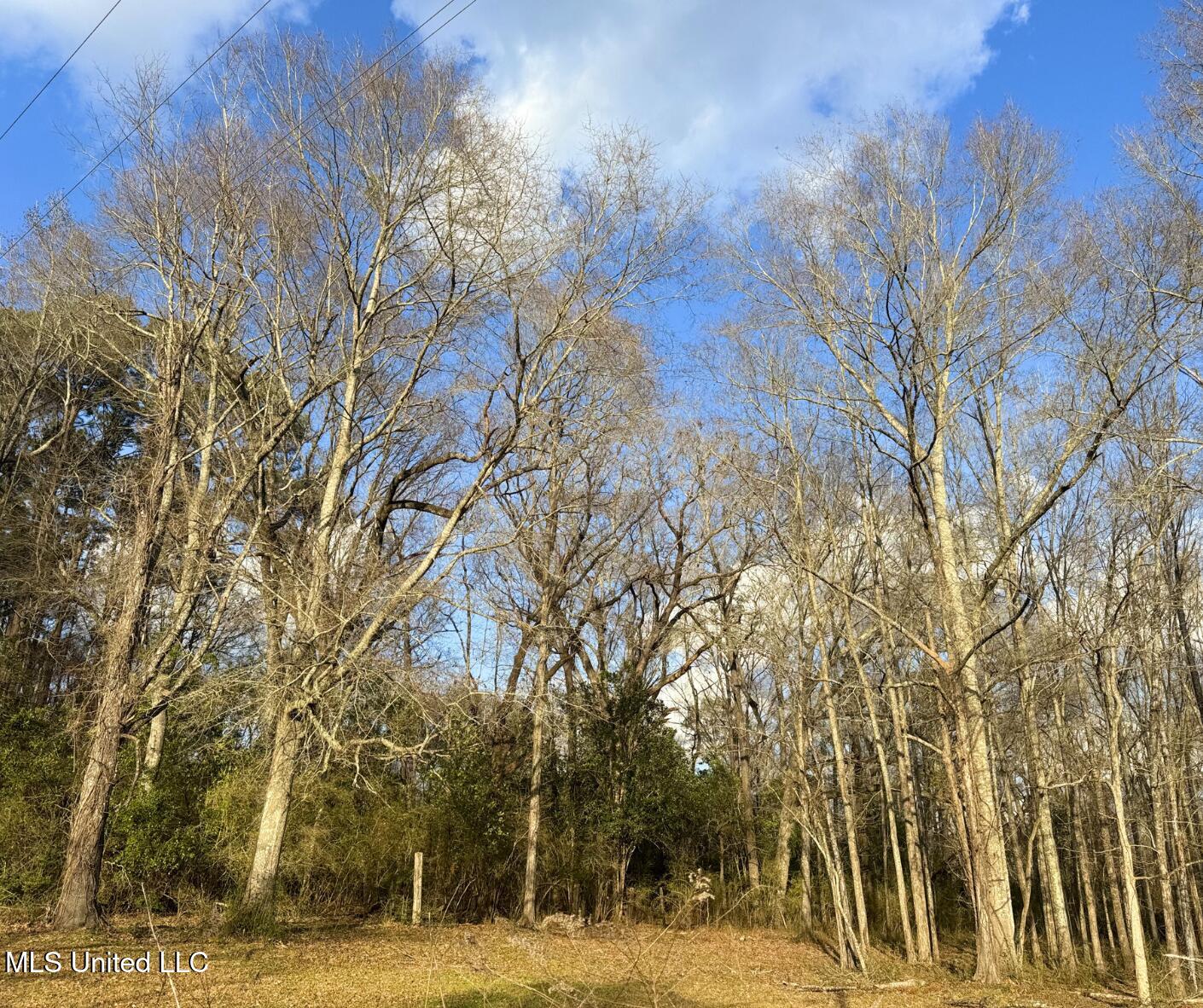 1041 Van Norman Property Photo 9